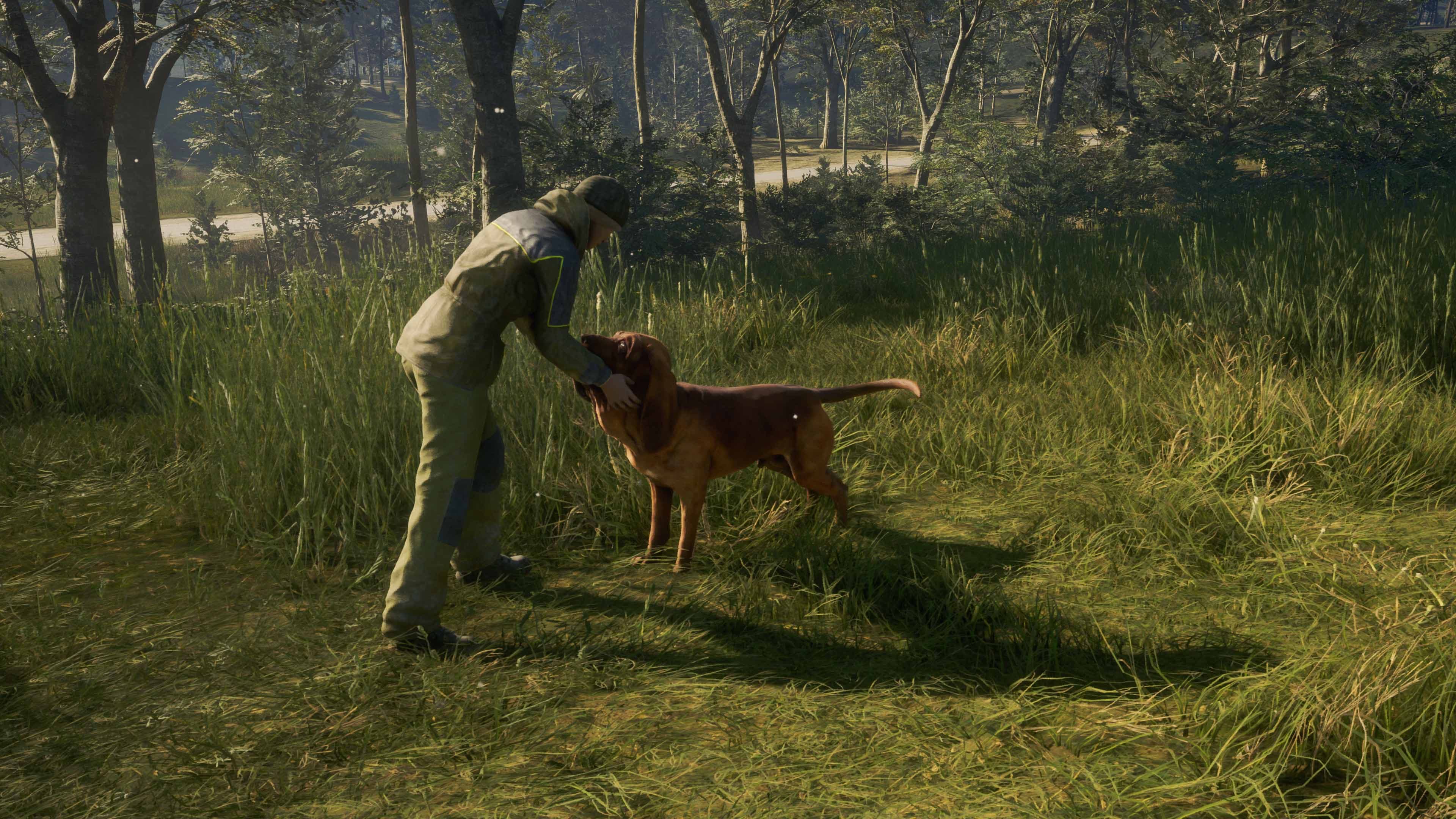 theHunter: Call of the Wild - Bloodhound: скриншот 7