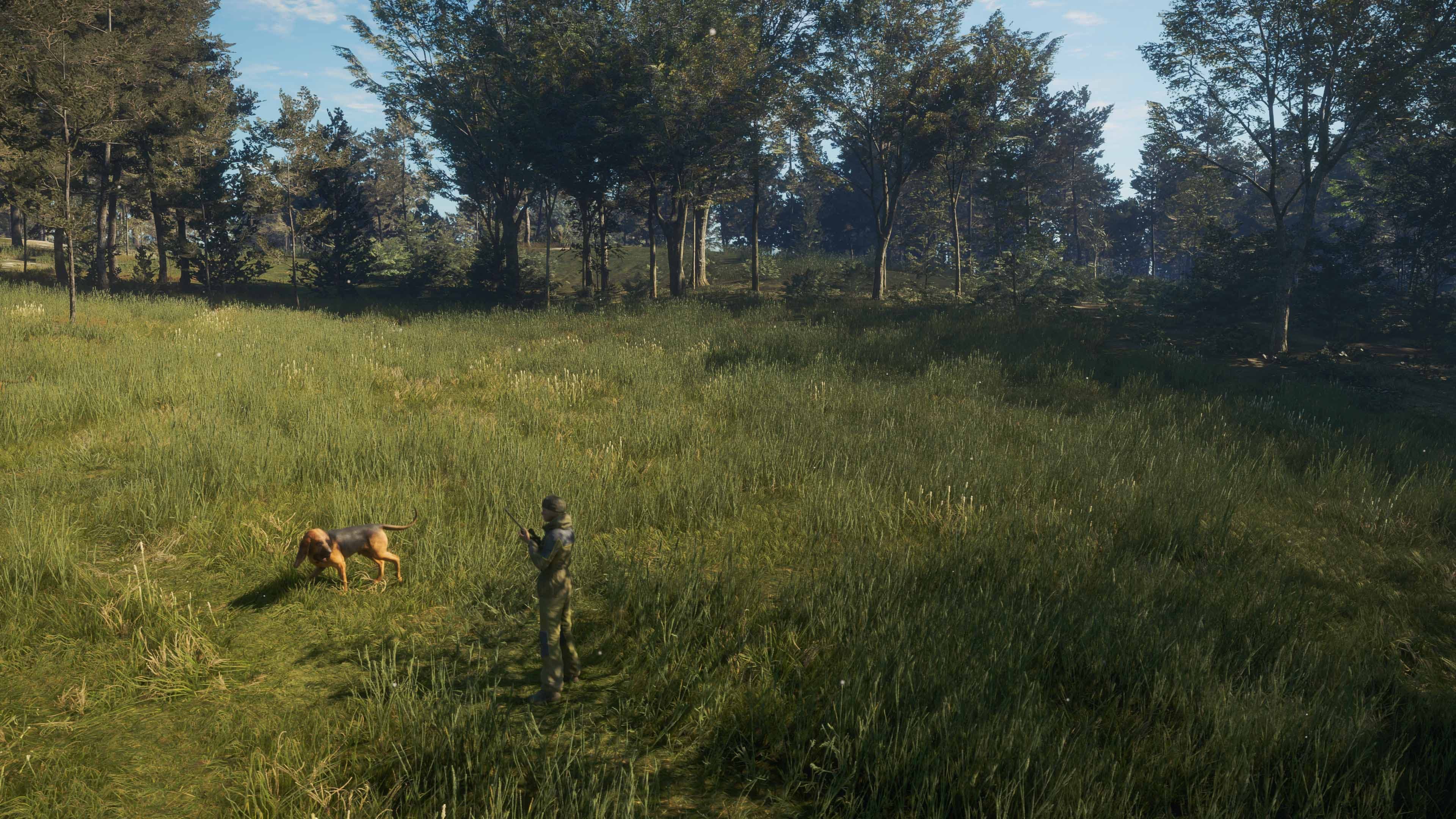 theHunter: Call of the Wild - Bloodhound: скриншот 8