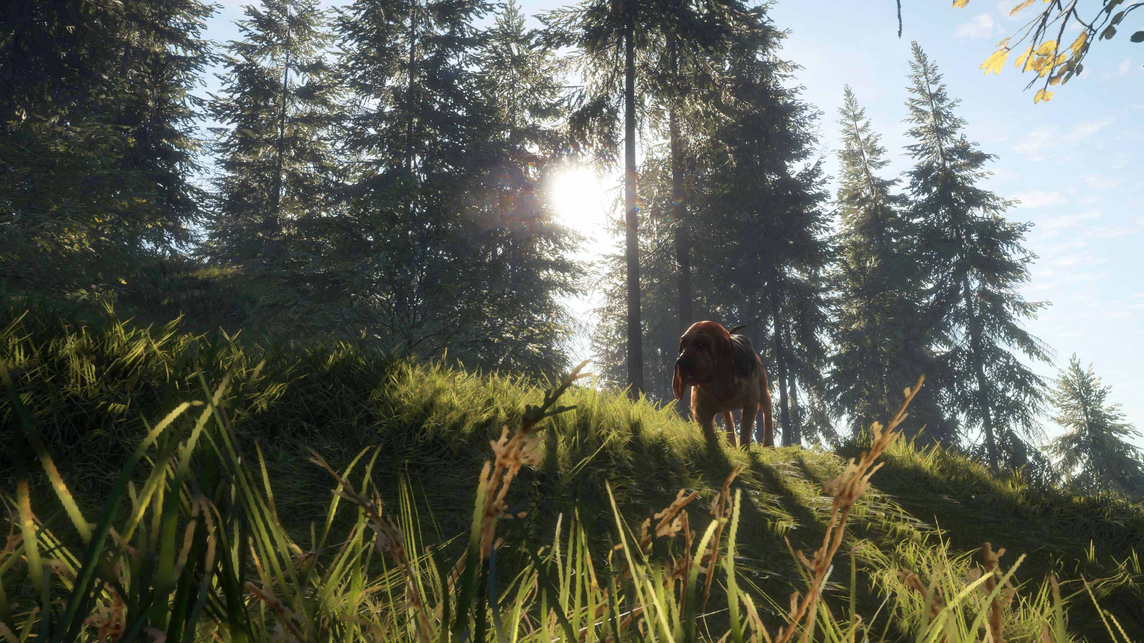 theHunter: Call of the Wild - Bloodhound: скриншот 2