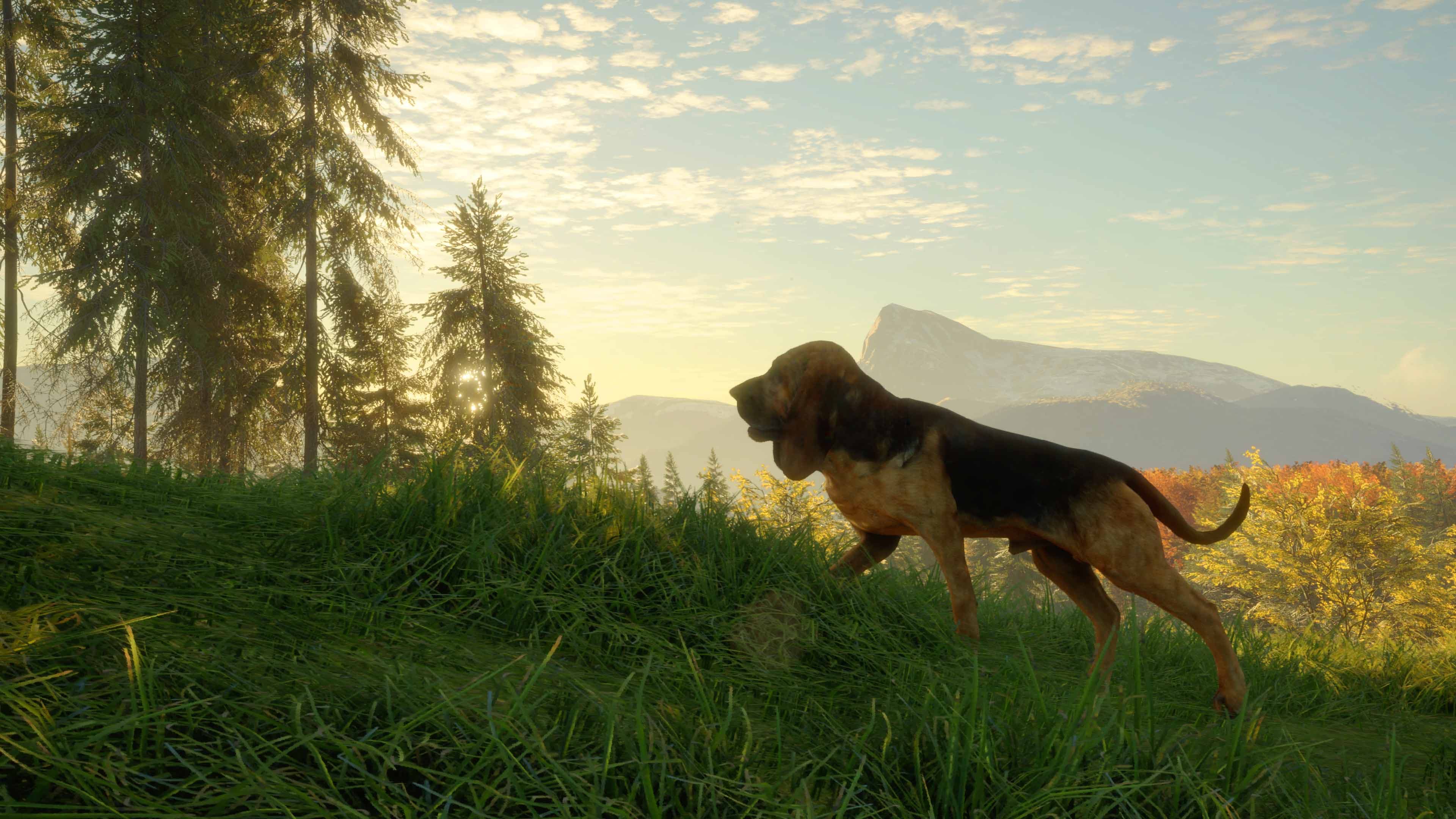 theHunter: Call of the Wild - Bloodhound: скриншот 4
