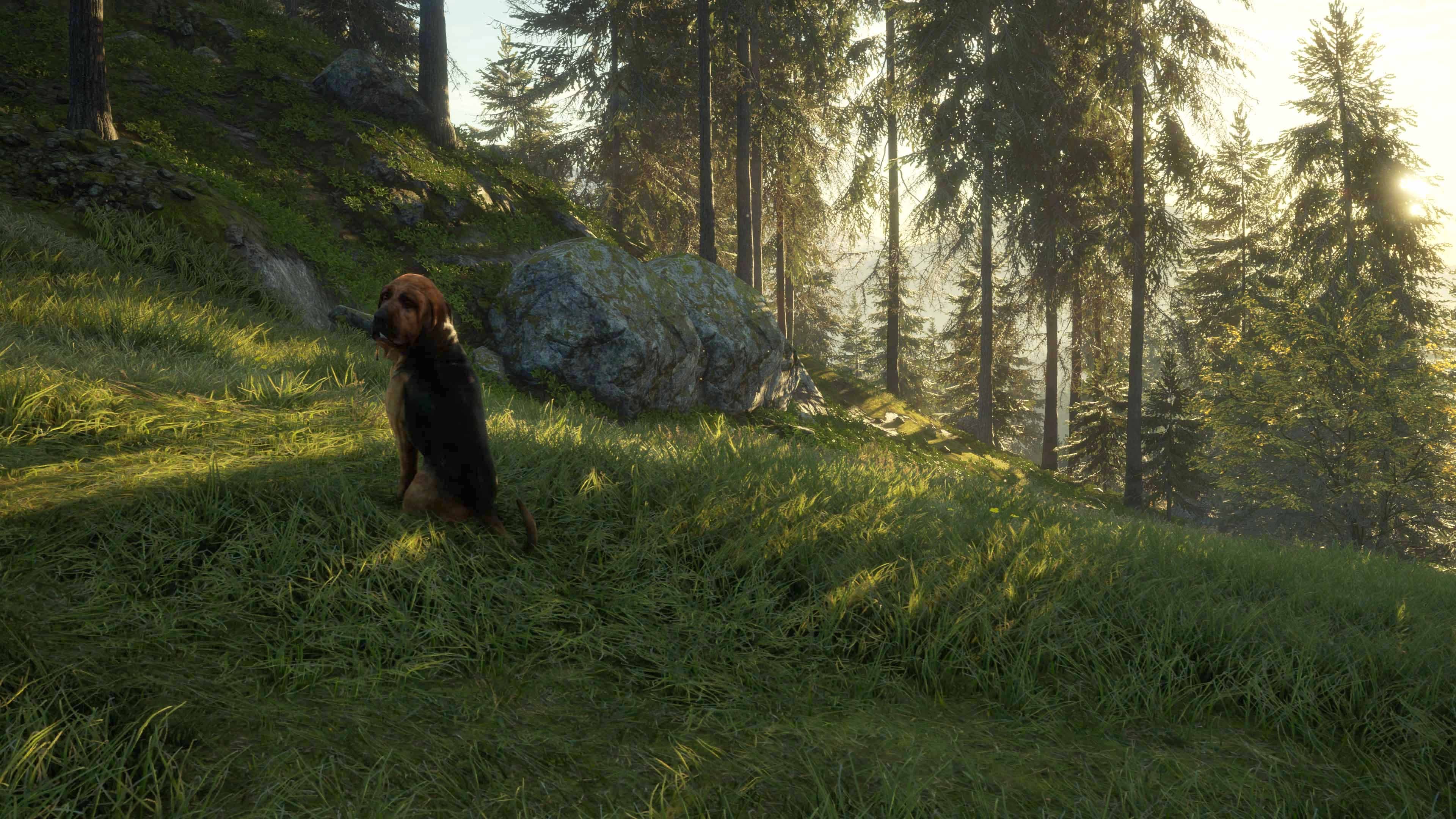 theHunter: Call of the Wild - Bloodhound: скриншот 3