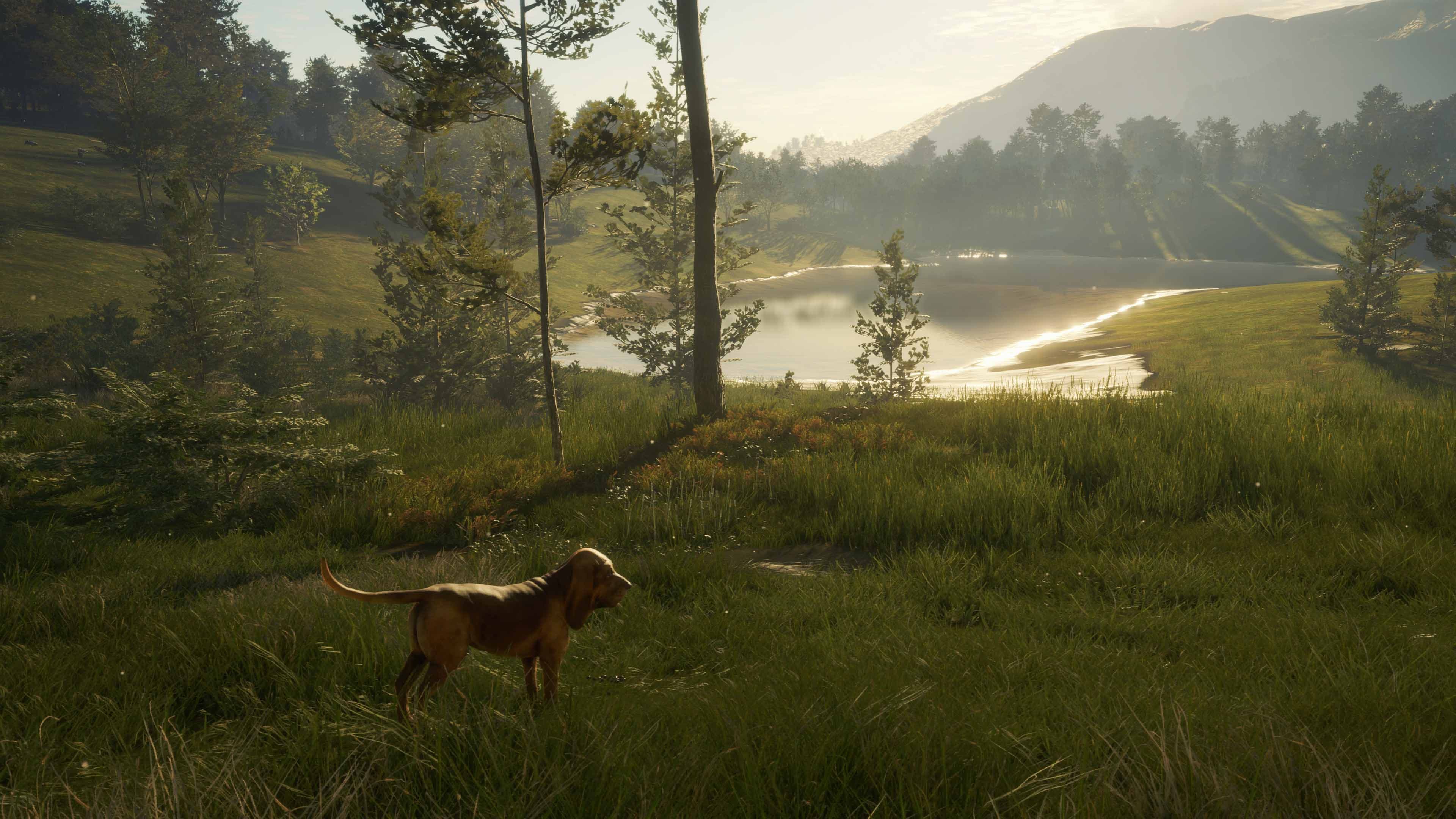 theHunter: Call of the Wild - Bloodhound: скриншот 5