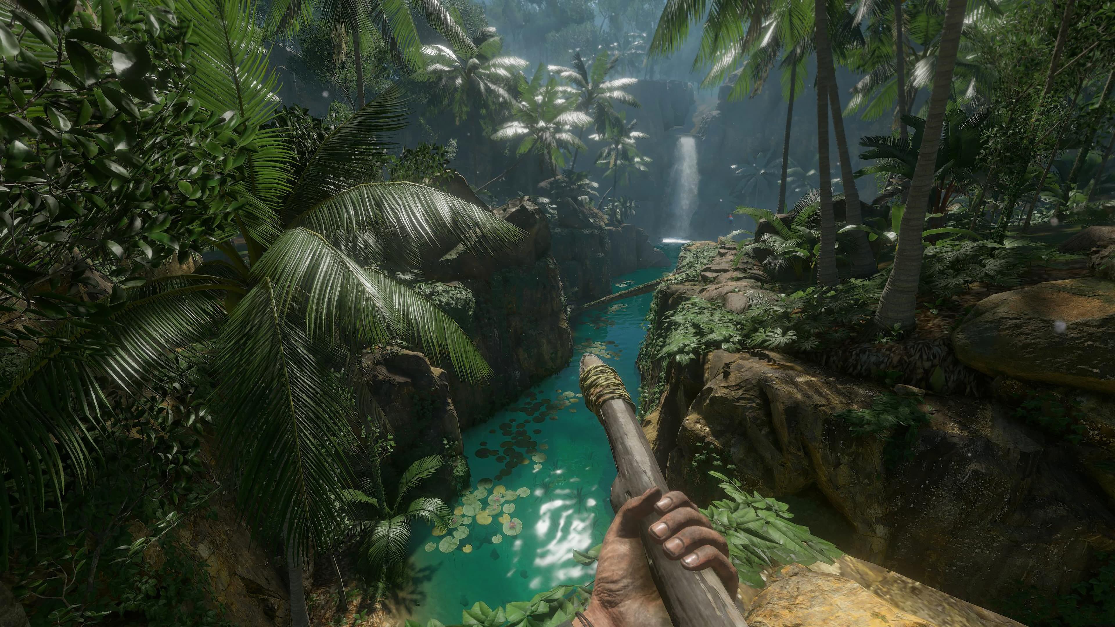 Green Hell: скриншот 9