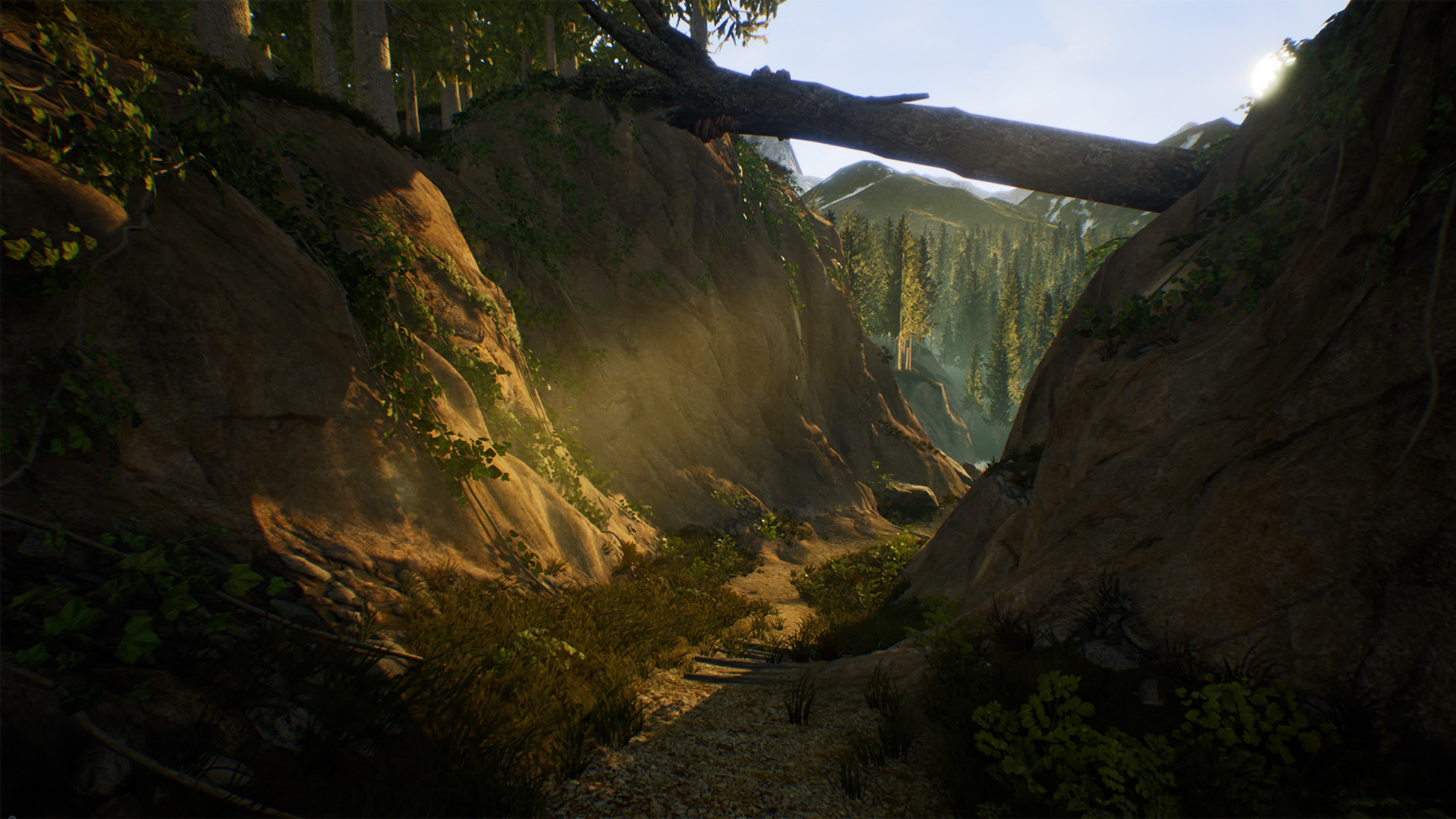 Treasure Hunter Simulator Standard