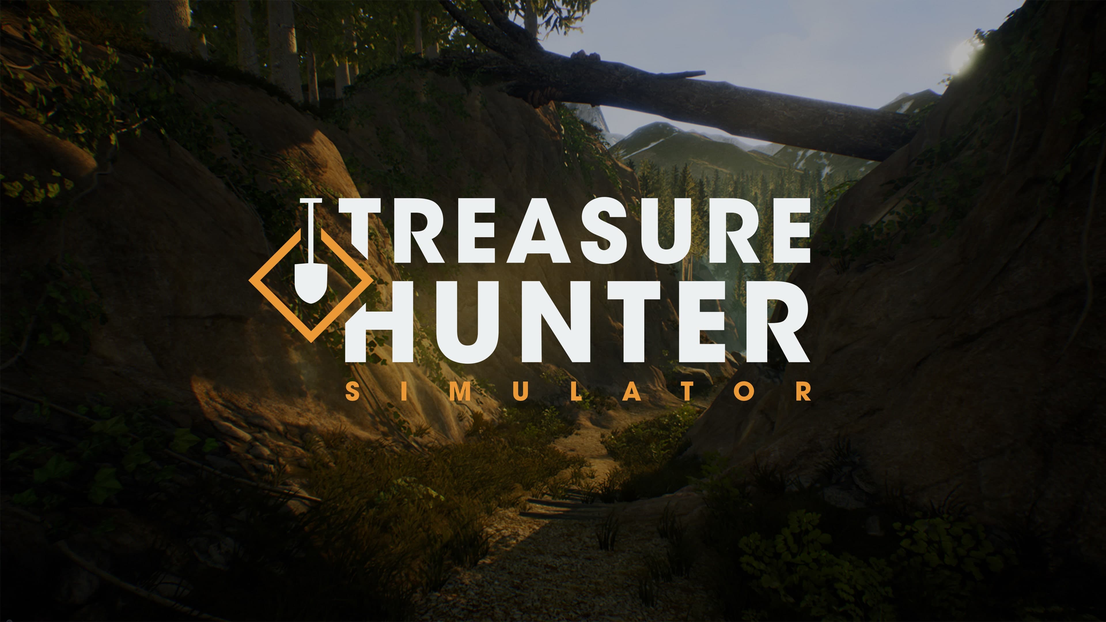 Treasure Hunter Simulator Standard
