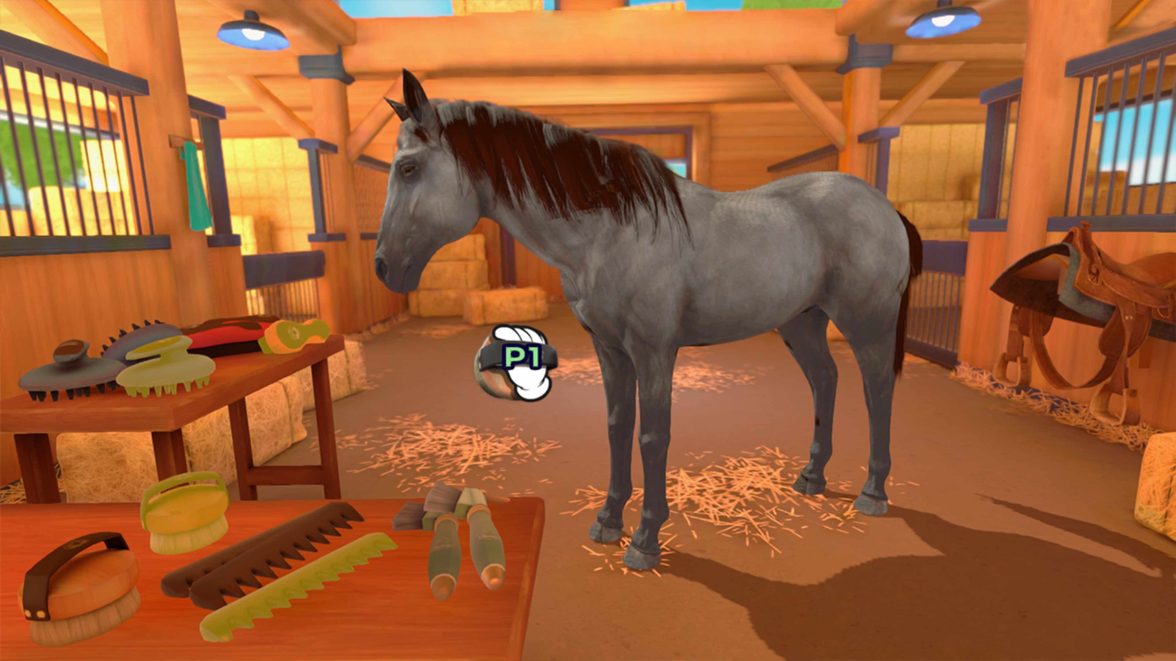 Equestrian Training: скриншот 2
