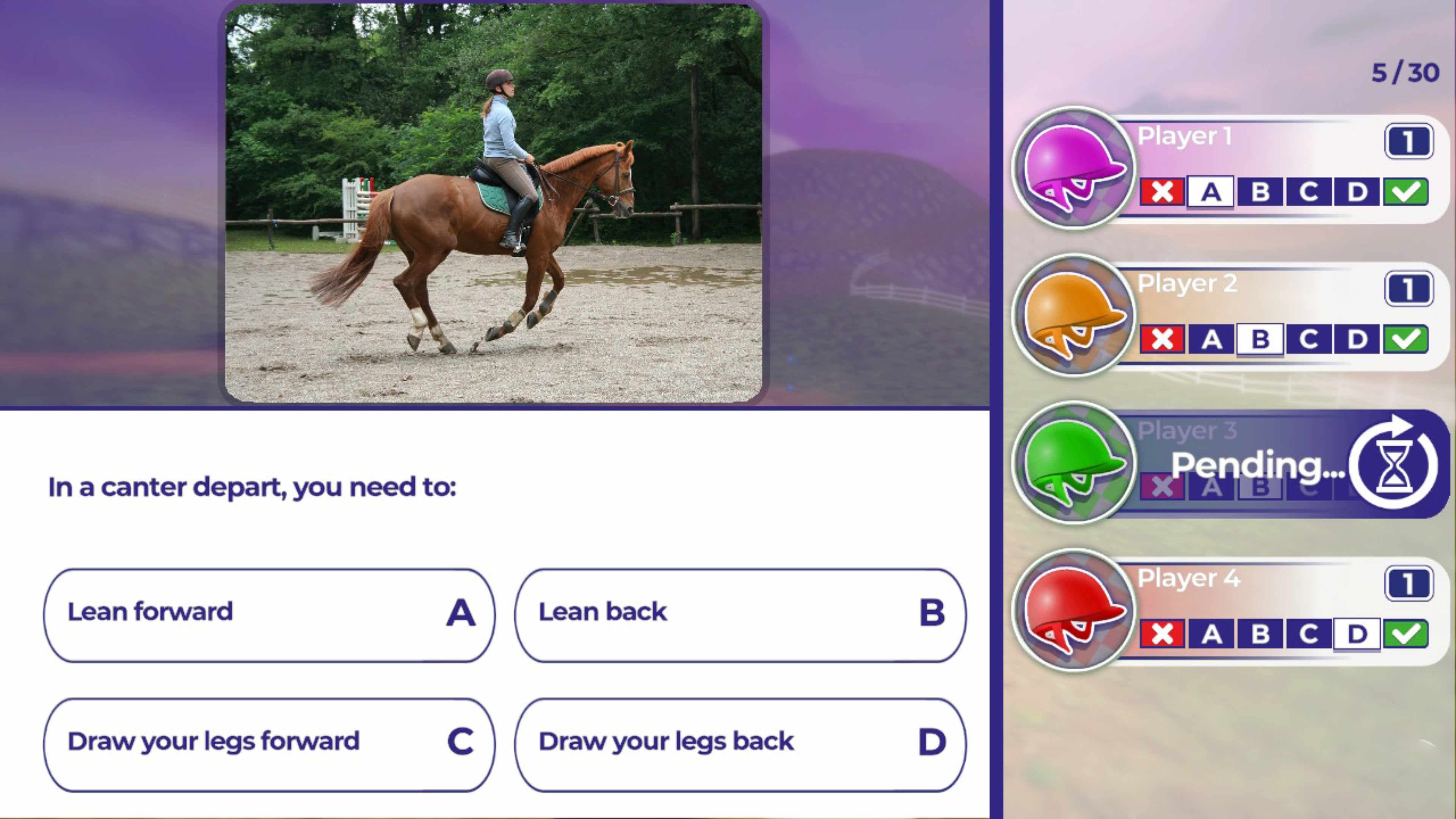 Equestrian Training: скриншот 3