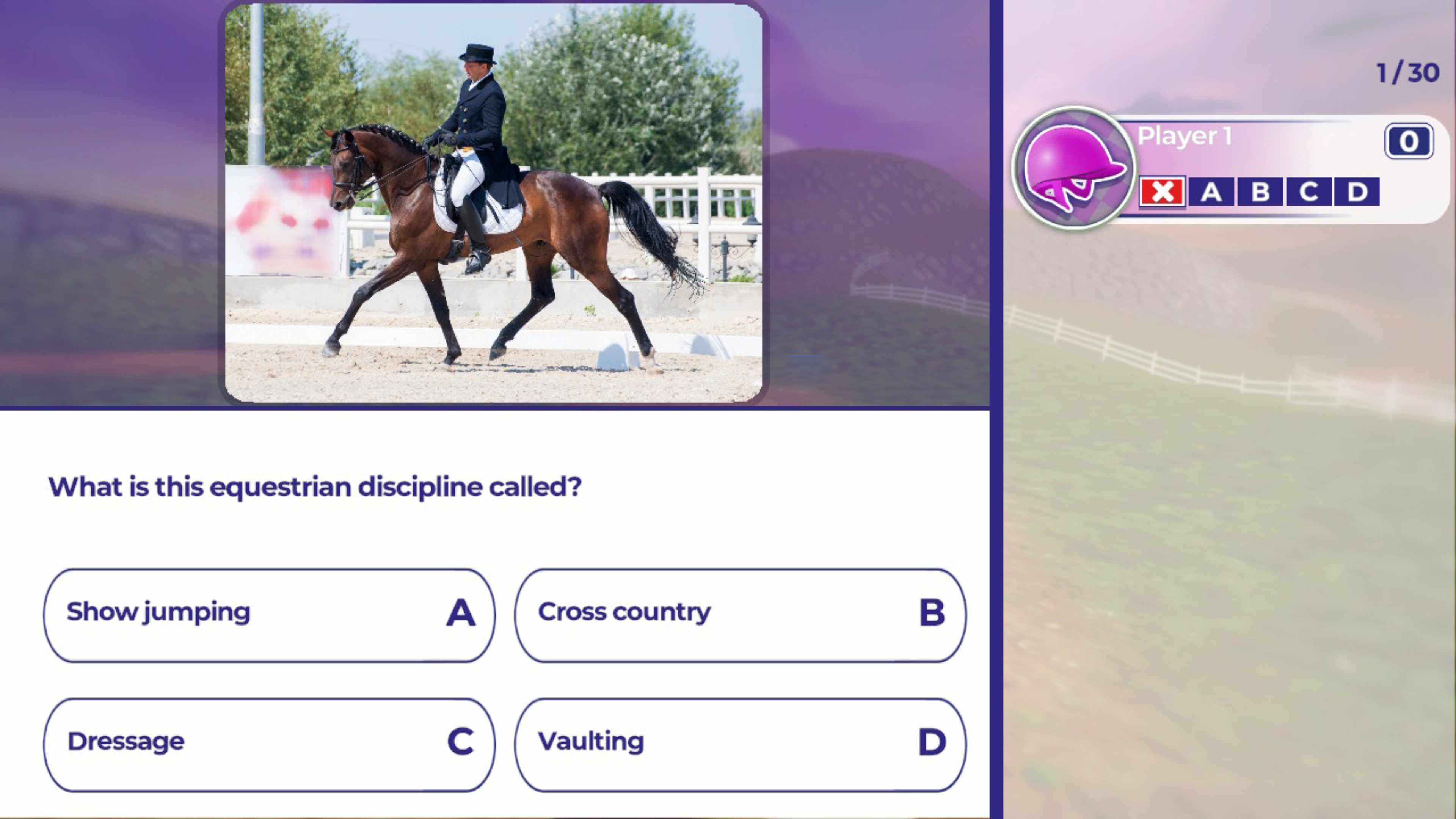 Equestrian Training: скриншот 5