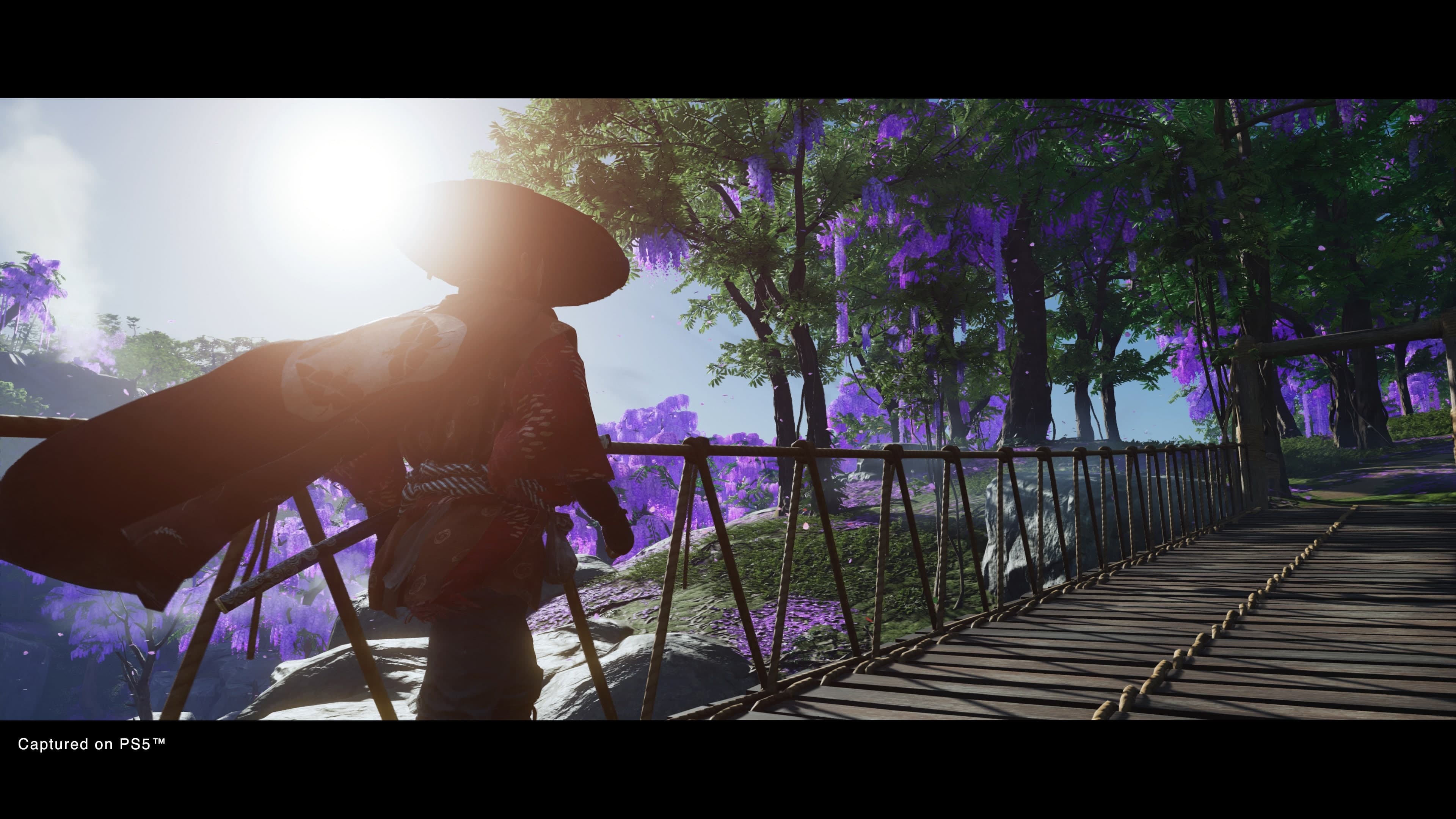 Ghost of Tsushima DIRECTOR’S CUT: скриншот 1