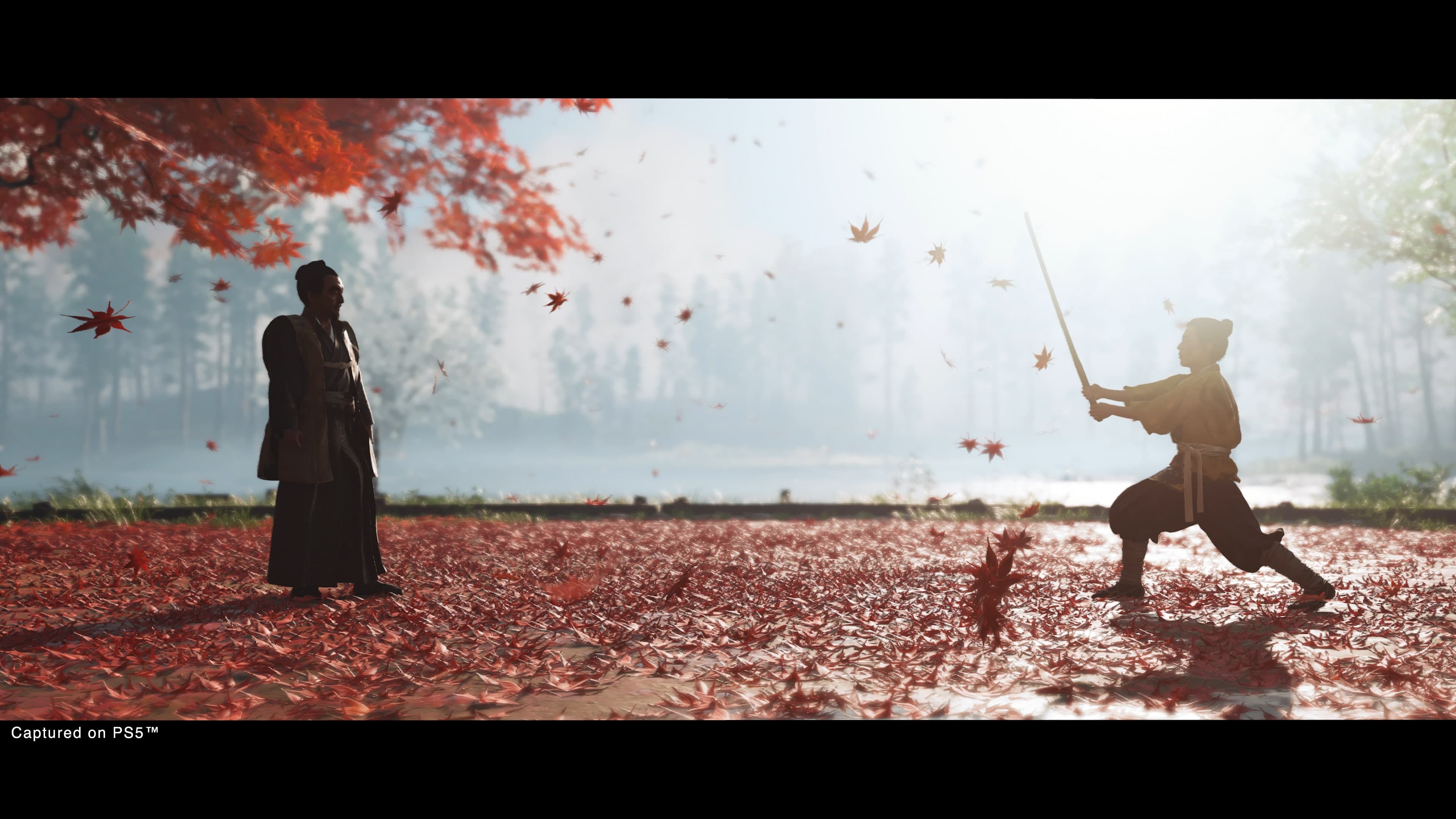 Ghost of Tsushima DIRECTOR’S CUT: скриншот 4