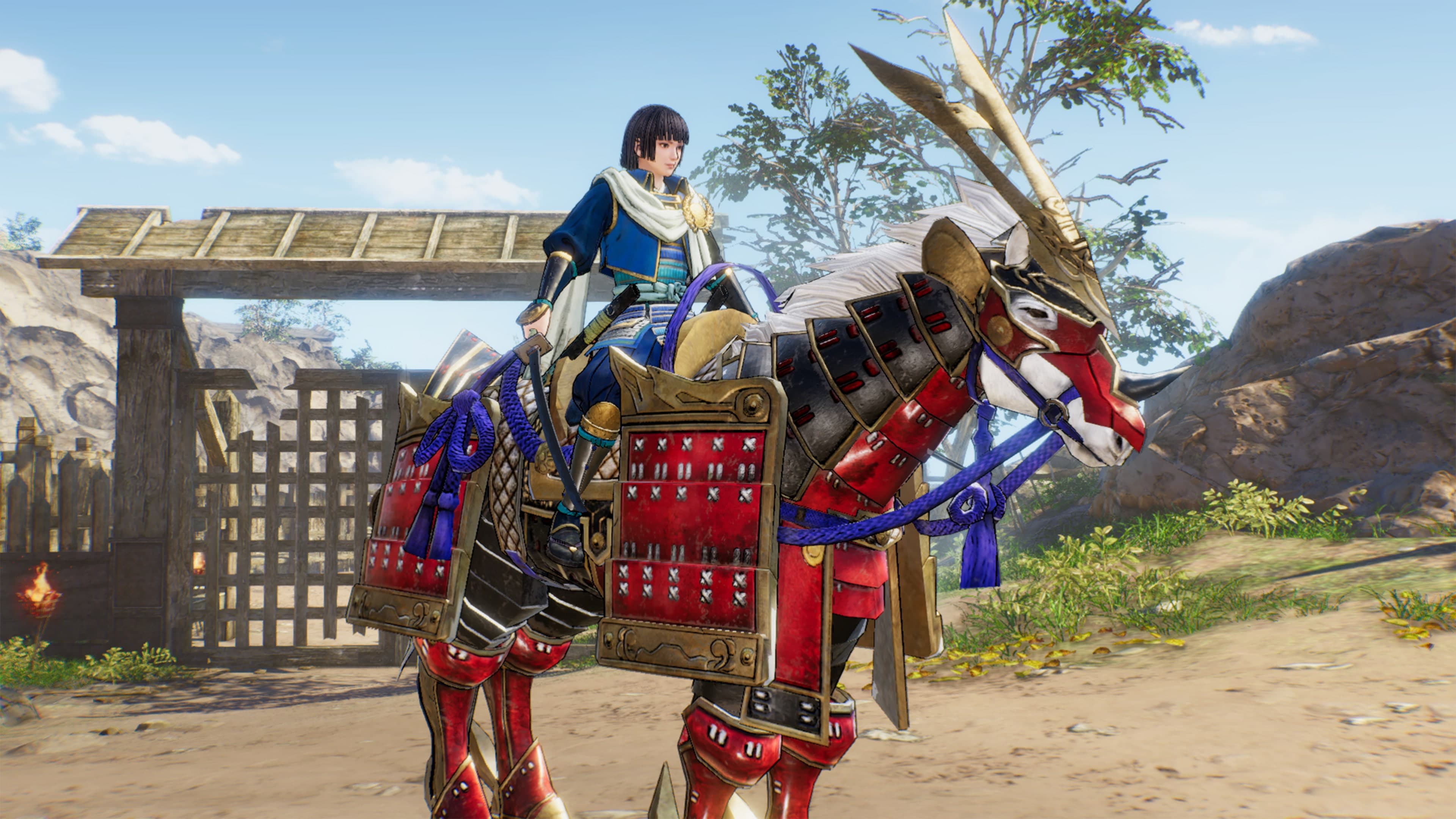 Additional Horse "Armor Coat": скриншот 1