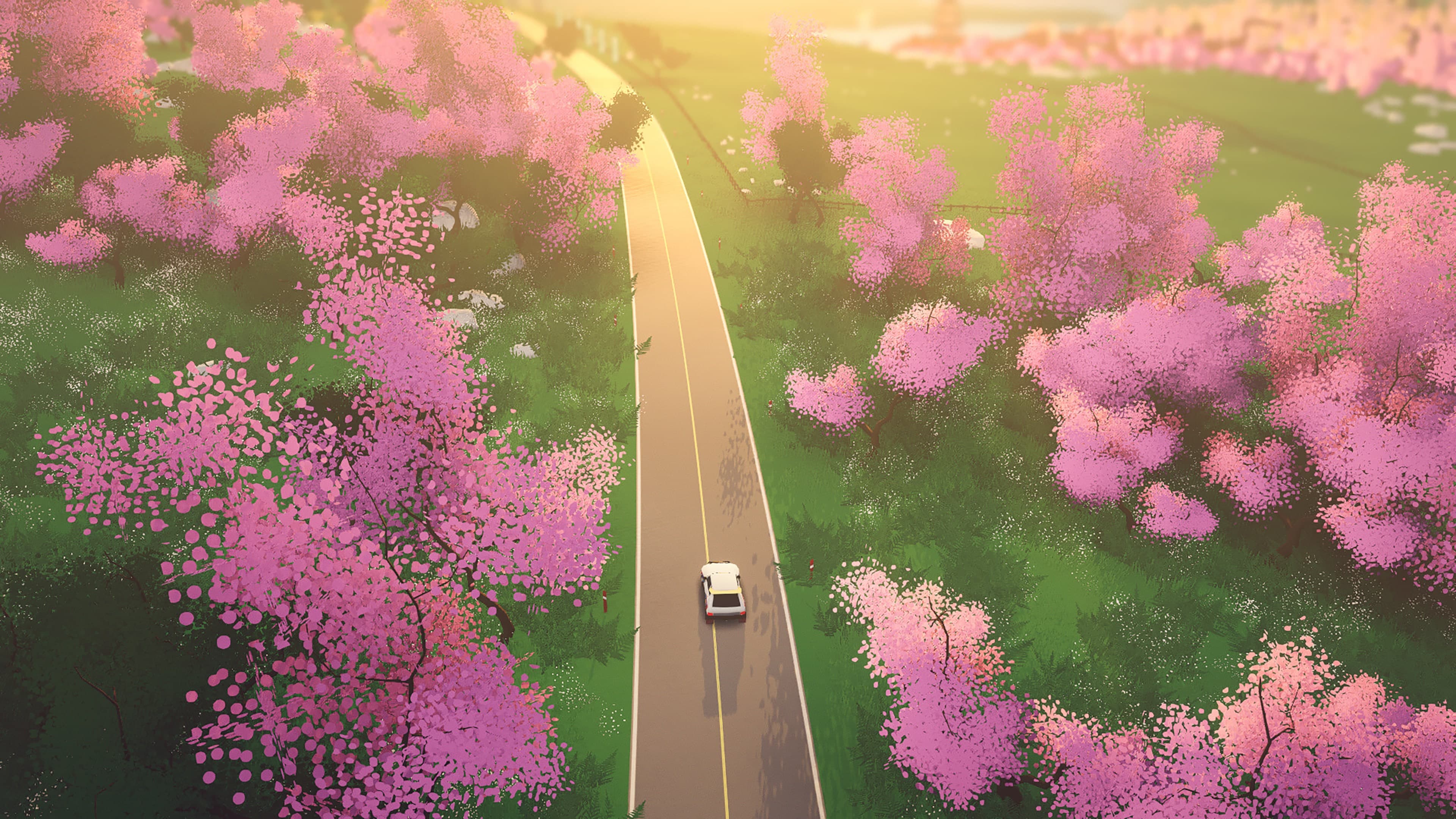 art of rally: скриншот 3