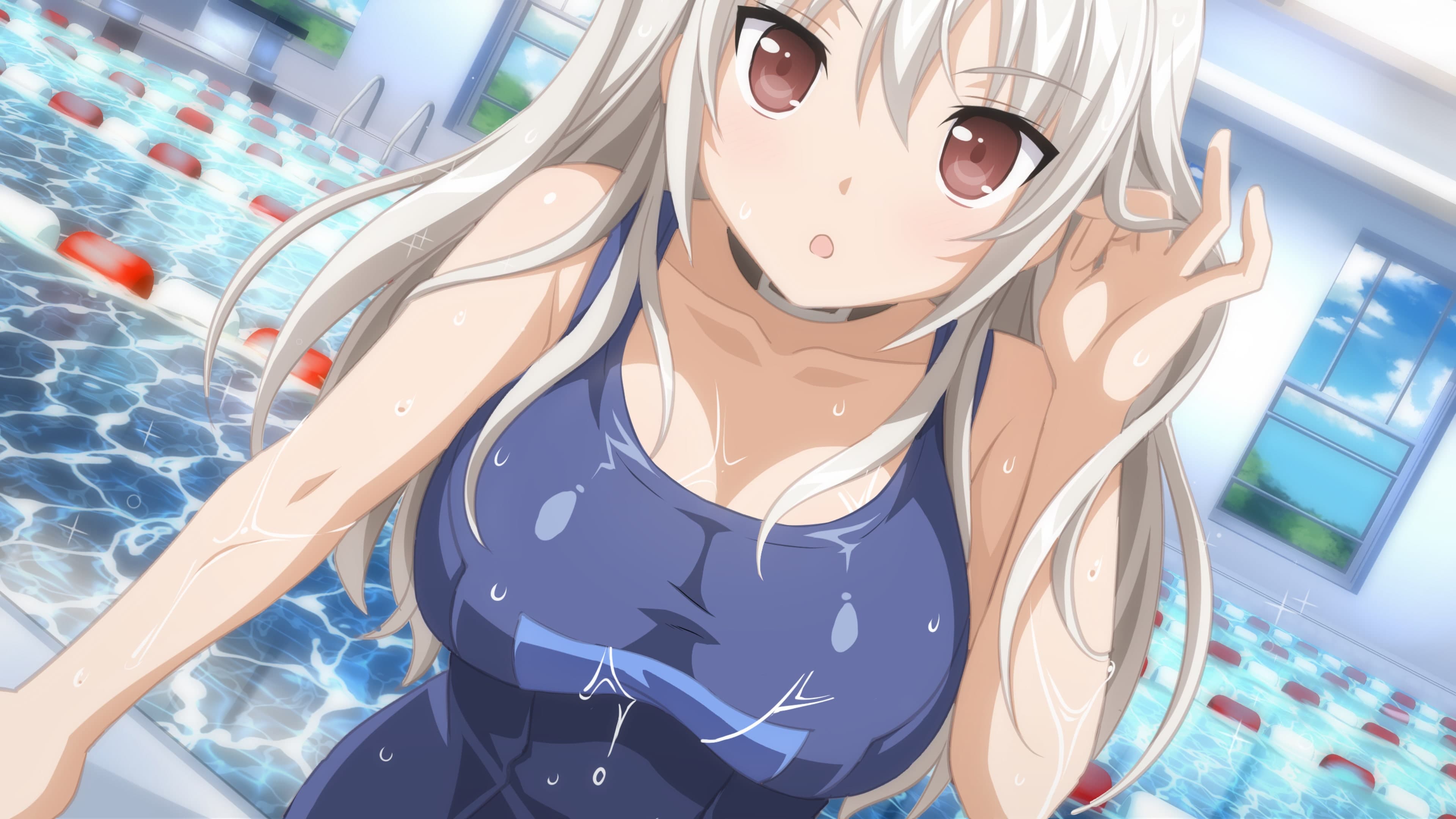 Sakura Swim Club Standard
