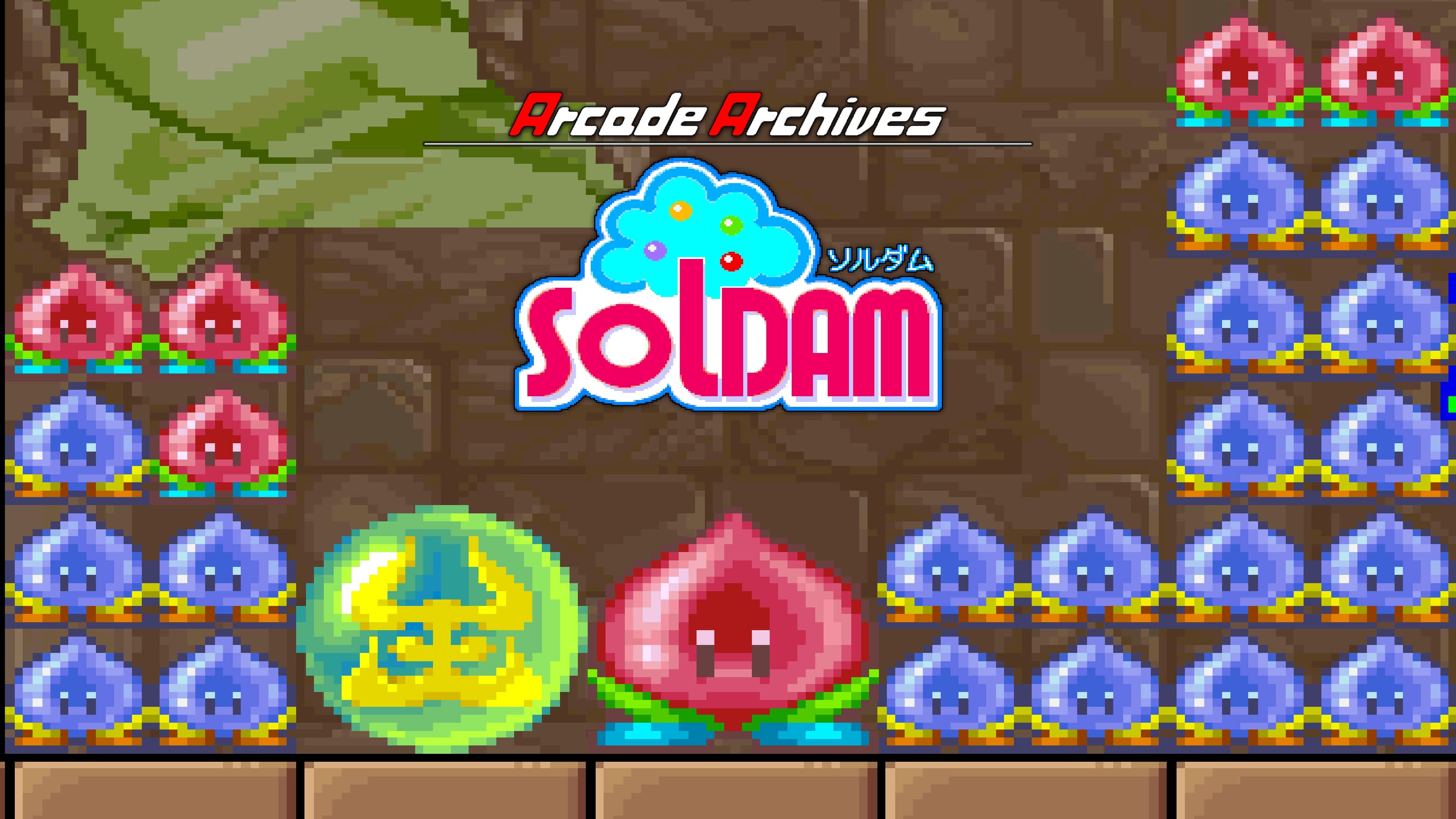 Arcade Archives SOLDAM Standard