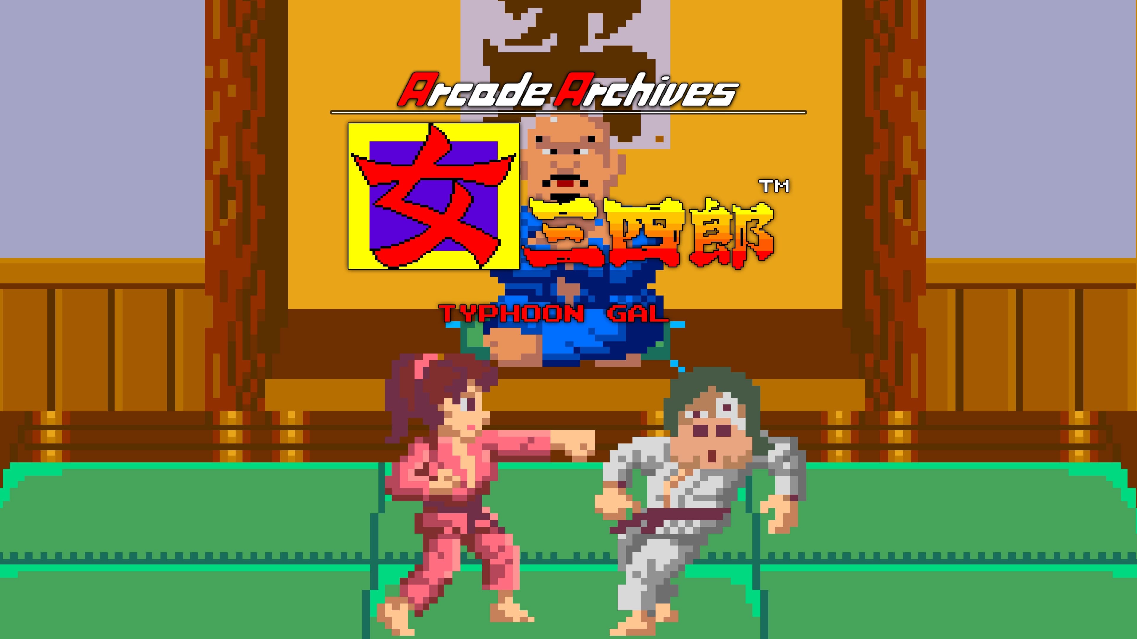 Arcade Archives TYPHOON GAL Standard