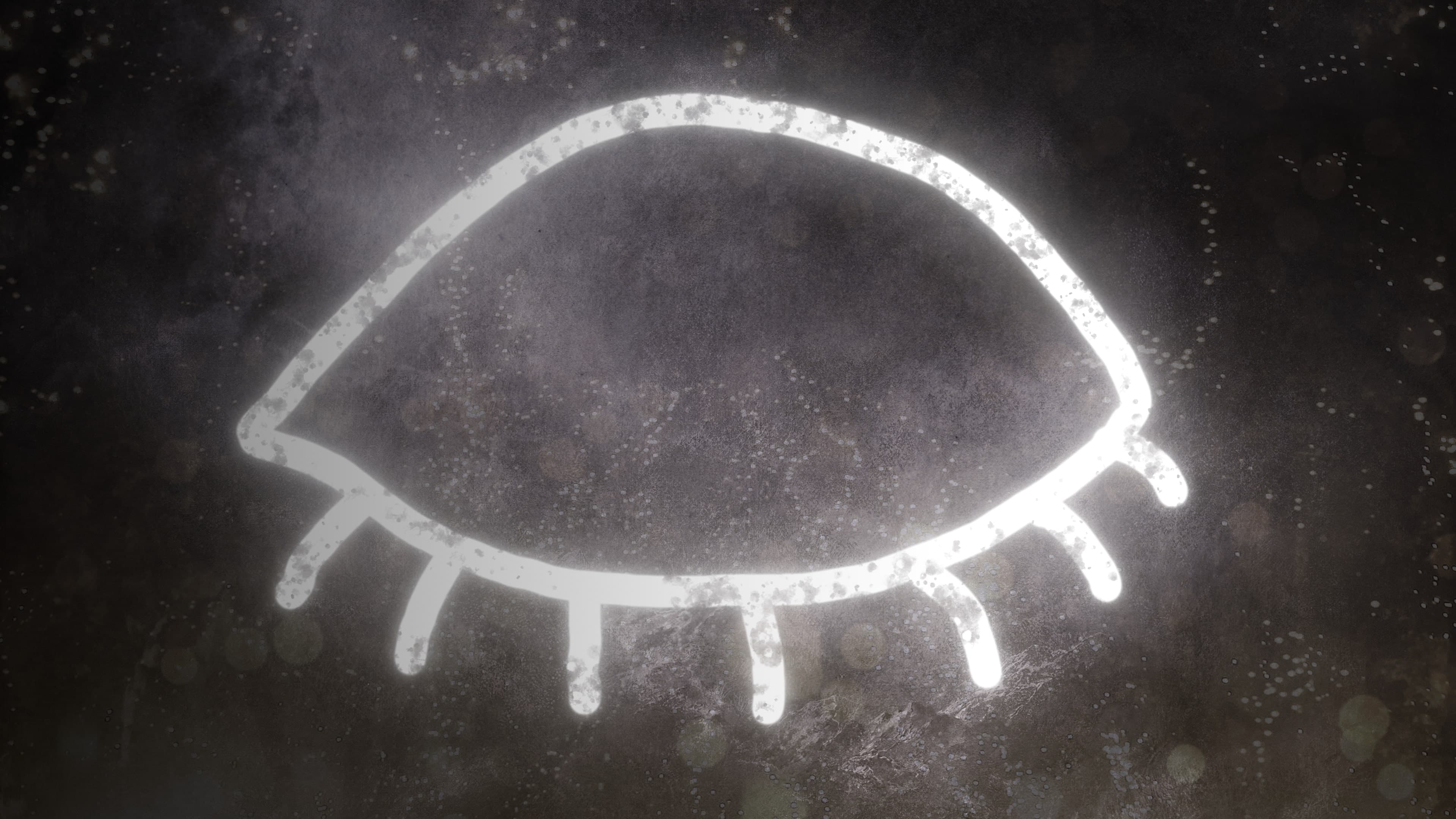 Lucid Cycle Standard