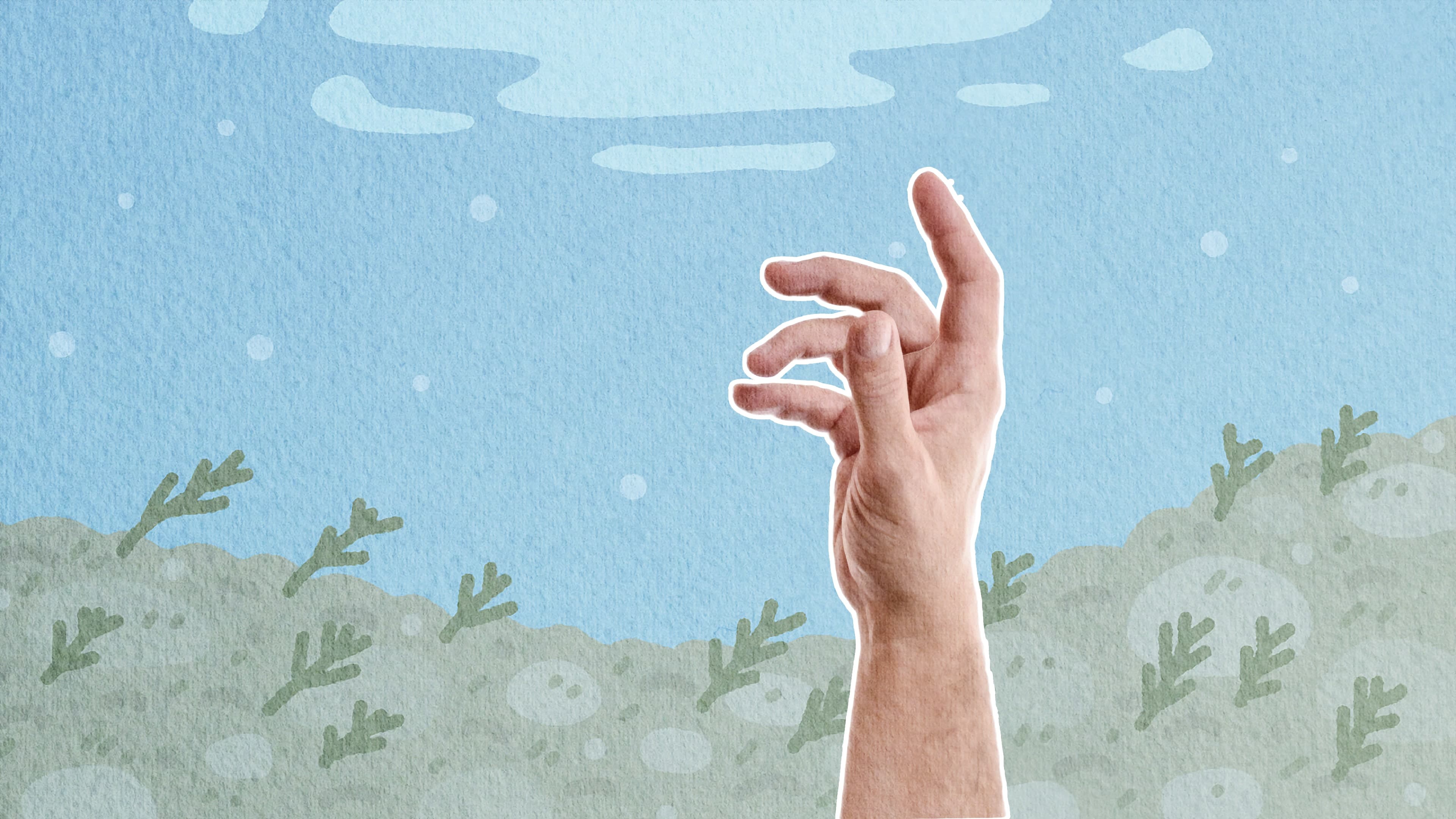 Finger Fitness Standard