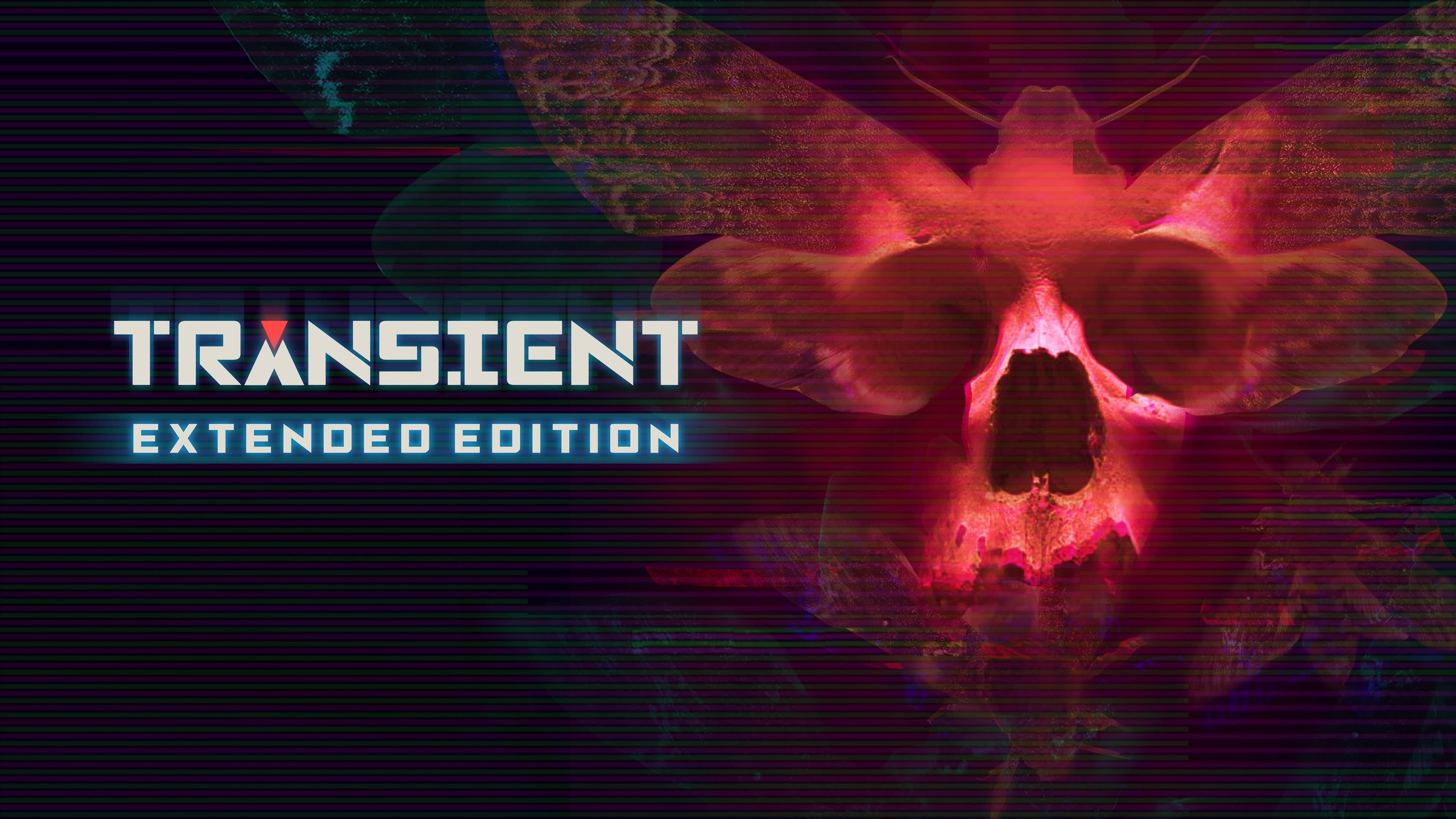 Transient: Extended Standard