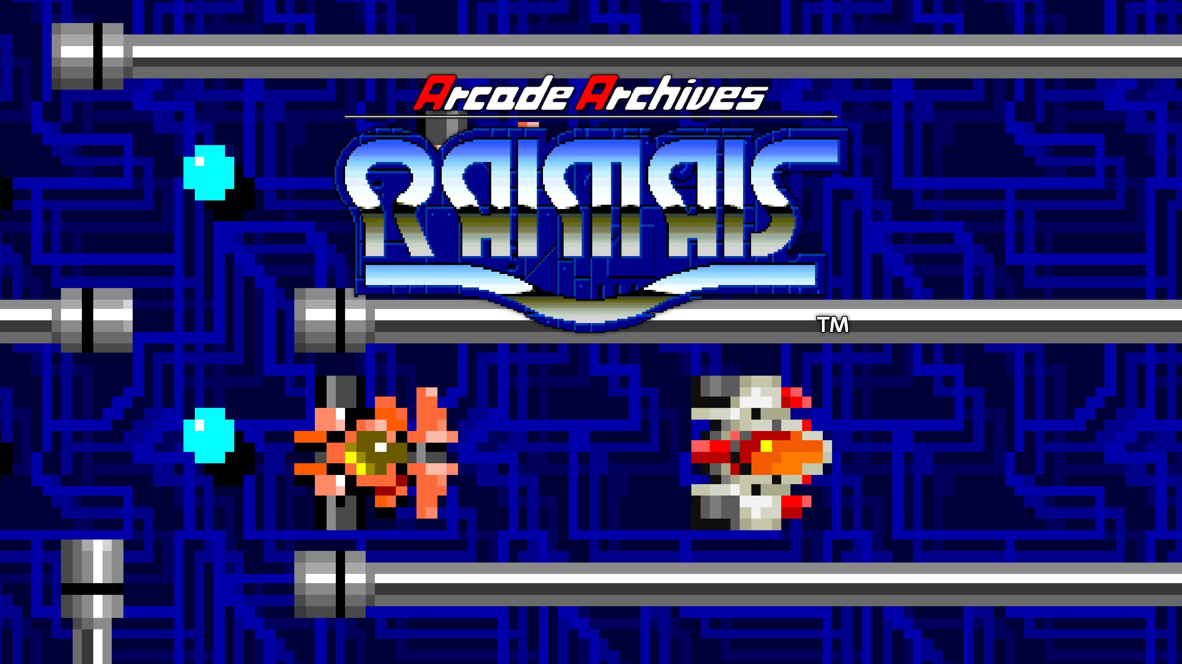 Arcade Archives RAIMAIS Standard