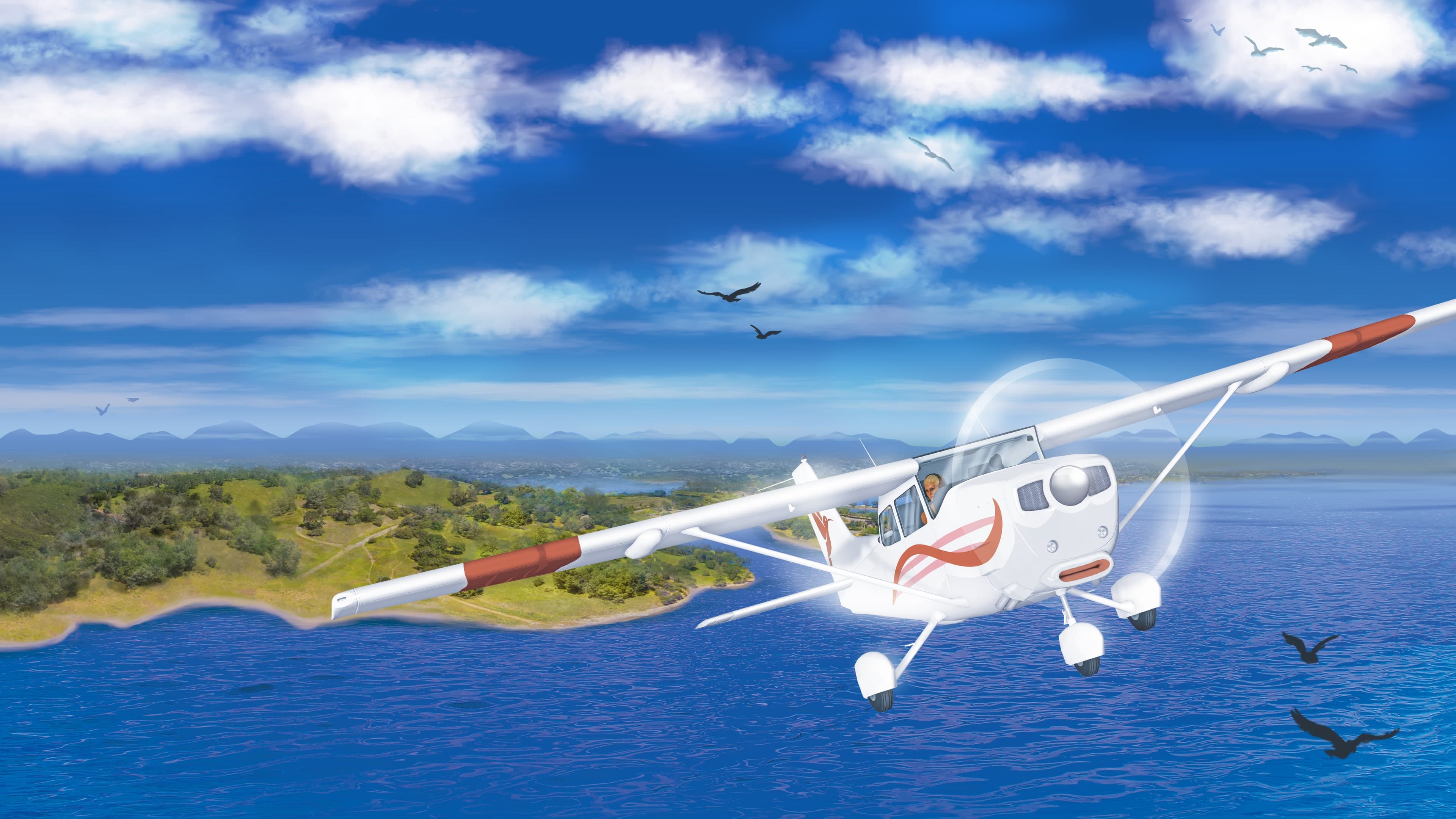 Coastline Flight Simulator Standard