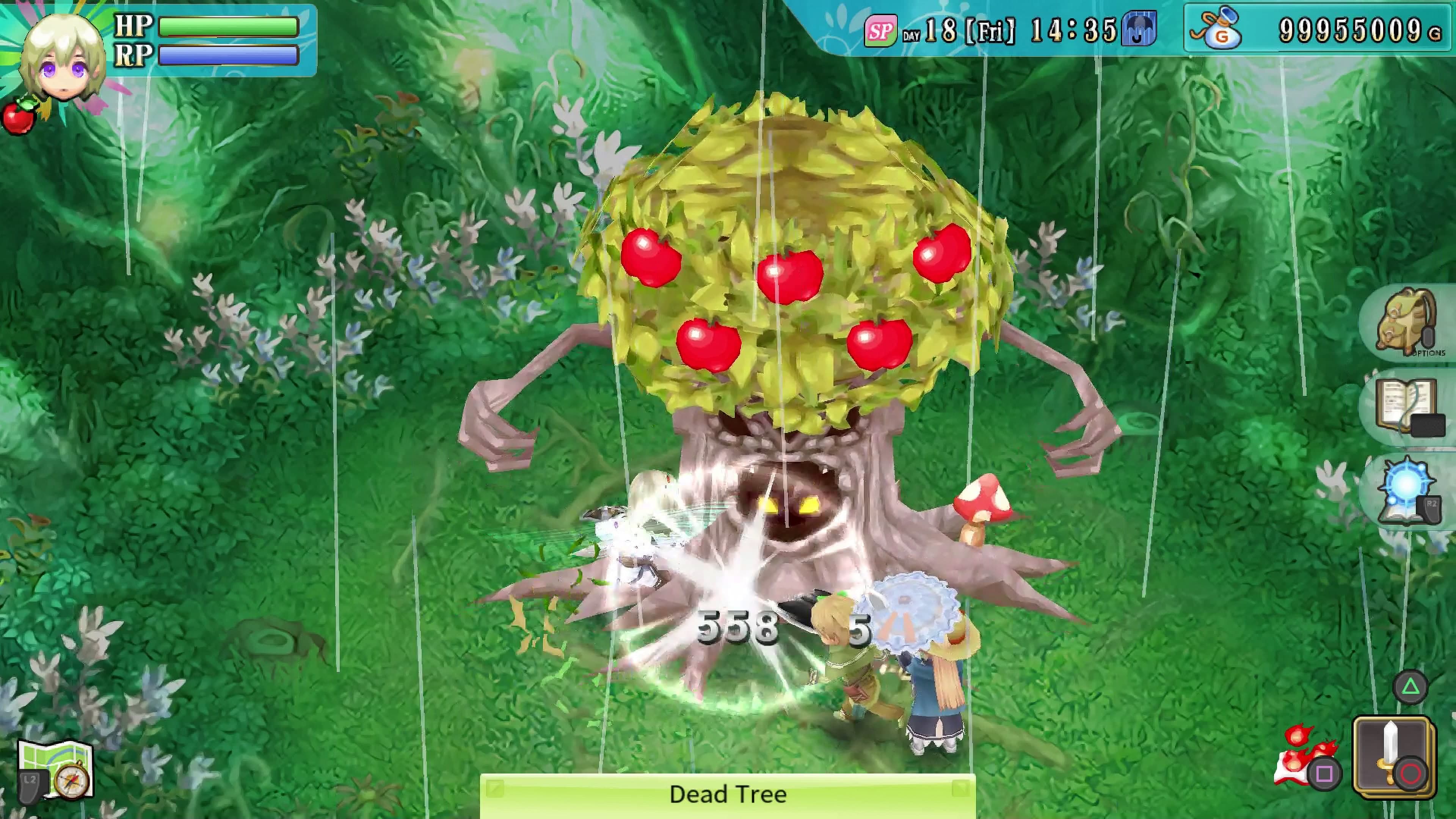 Rune Factory 4 Special: скриншот 8