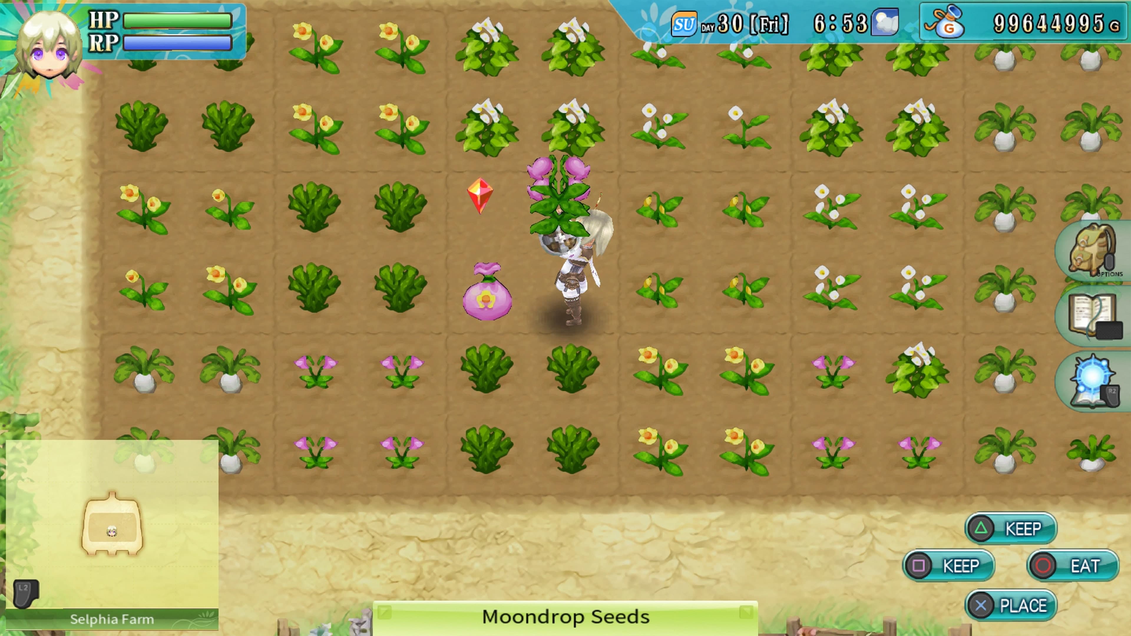 Rune Factory 4 Special: скриншот 2