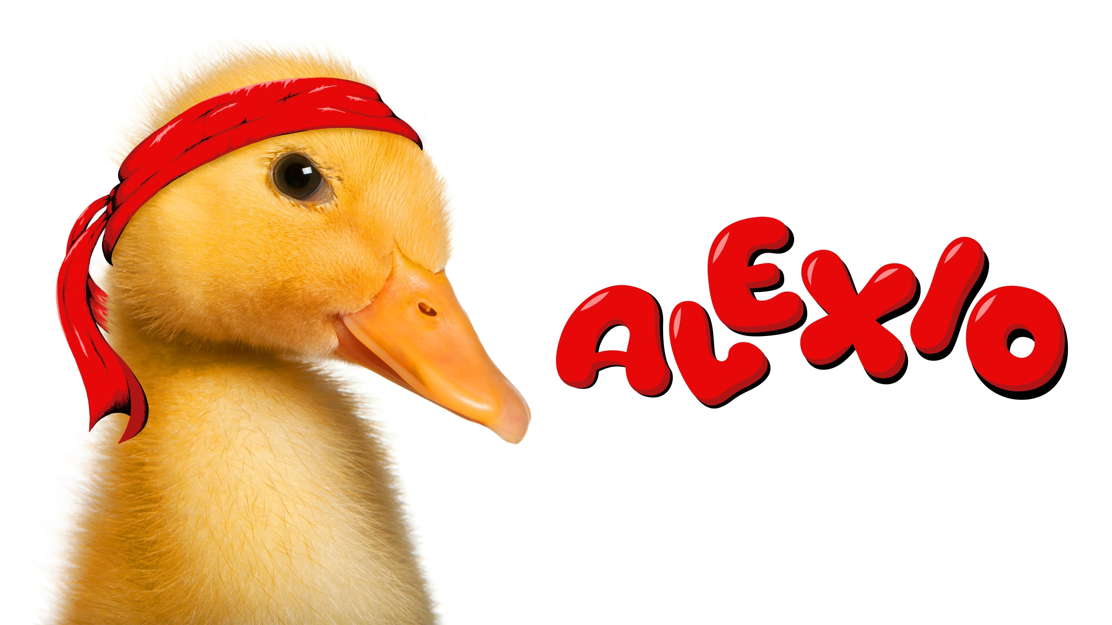 Alexio Standard
