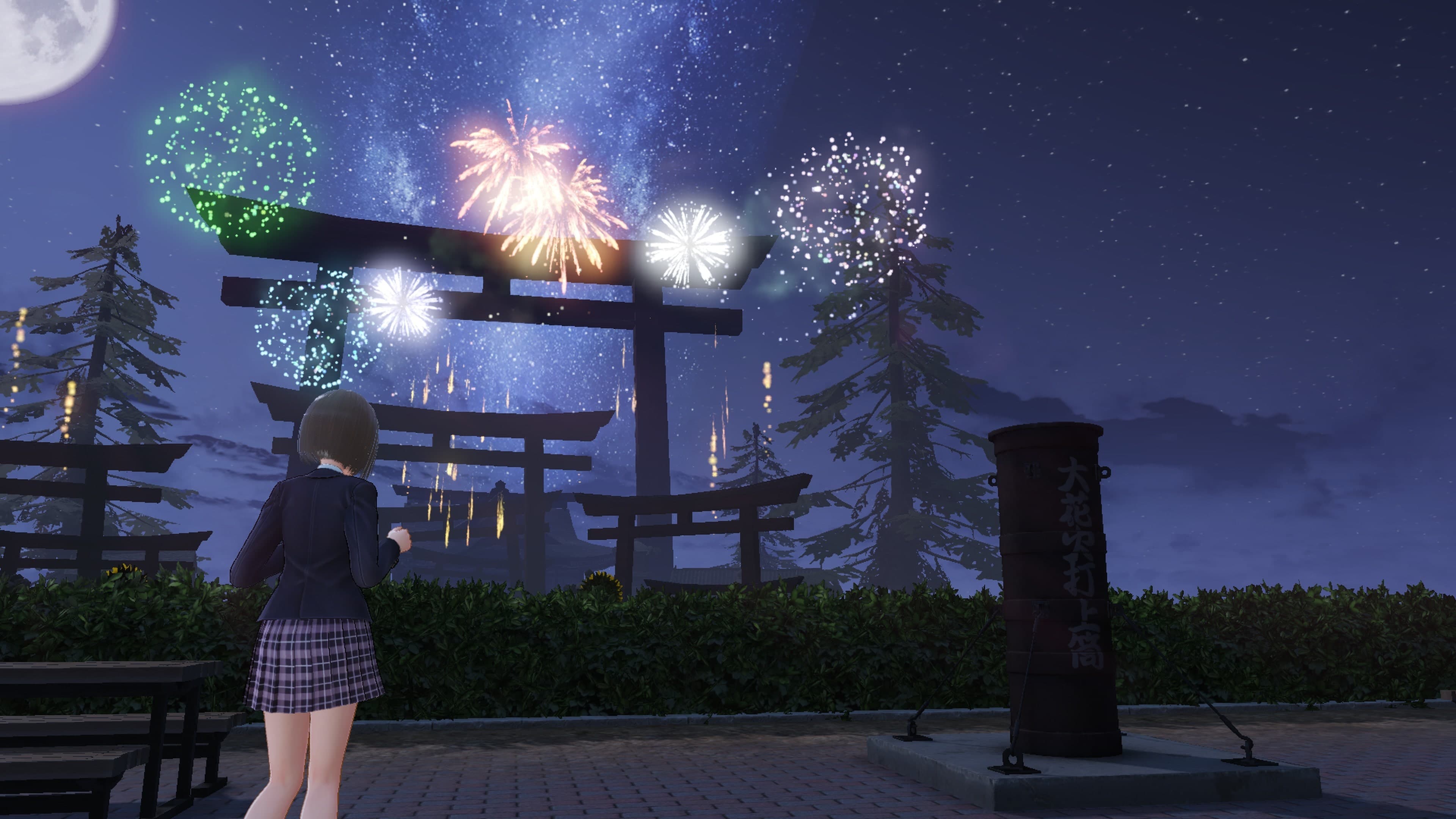 School Development Facility - Summer Night Vacation: скриншот 2