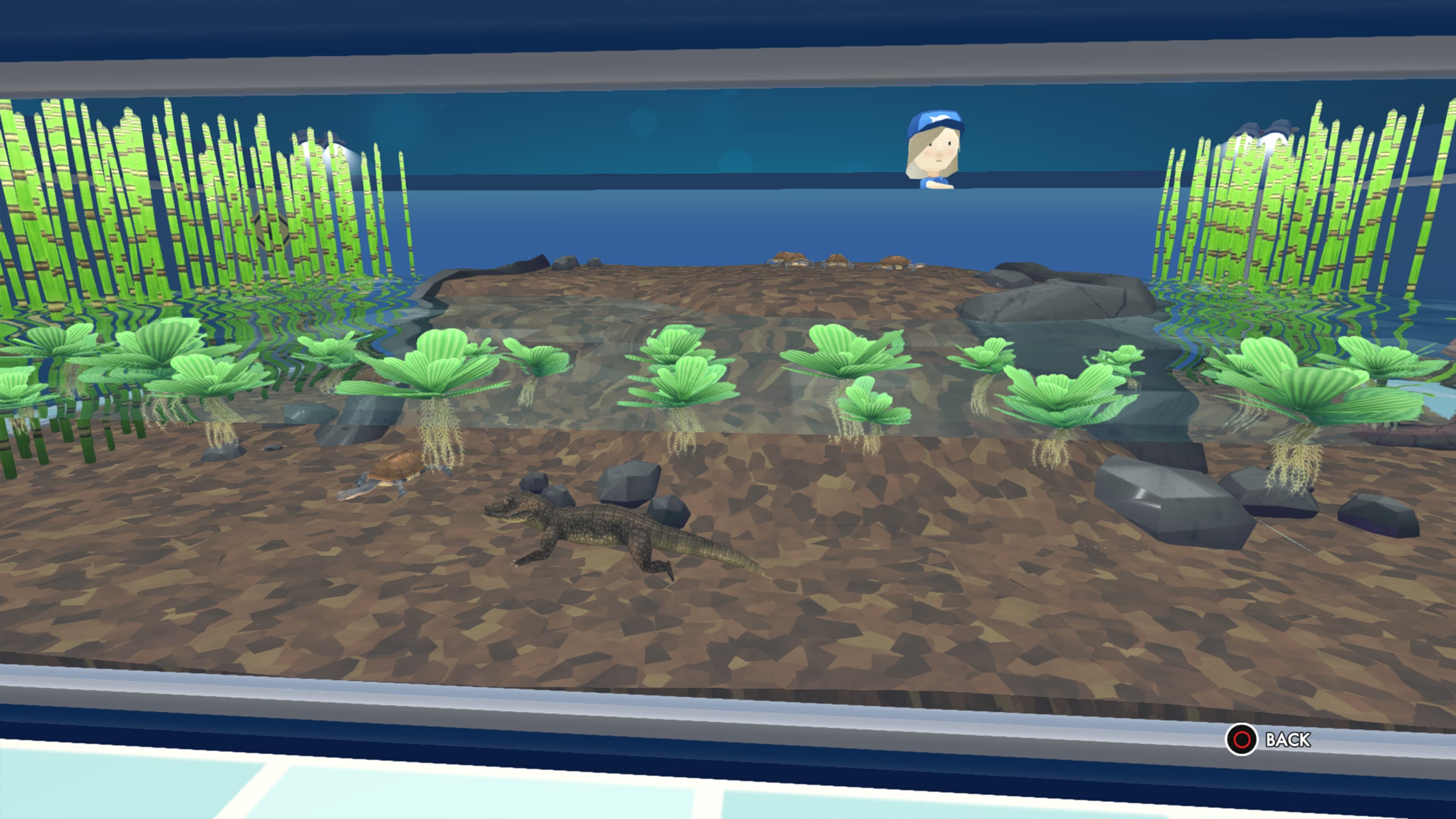 Megaquarium: Freshwater Frenzy: скриншот 2