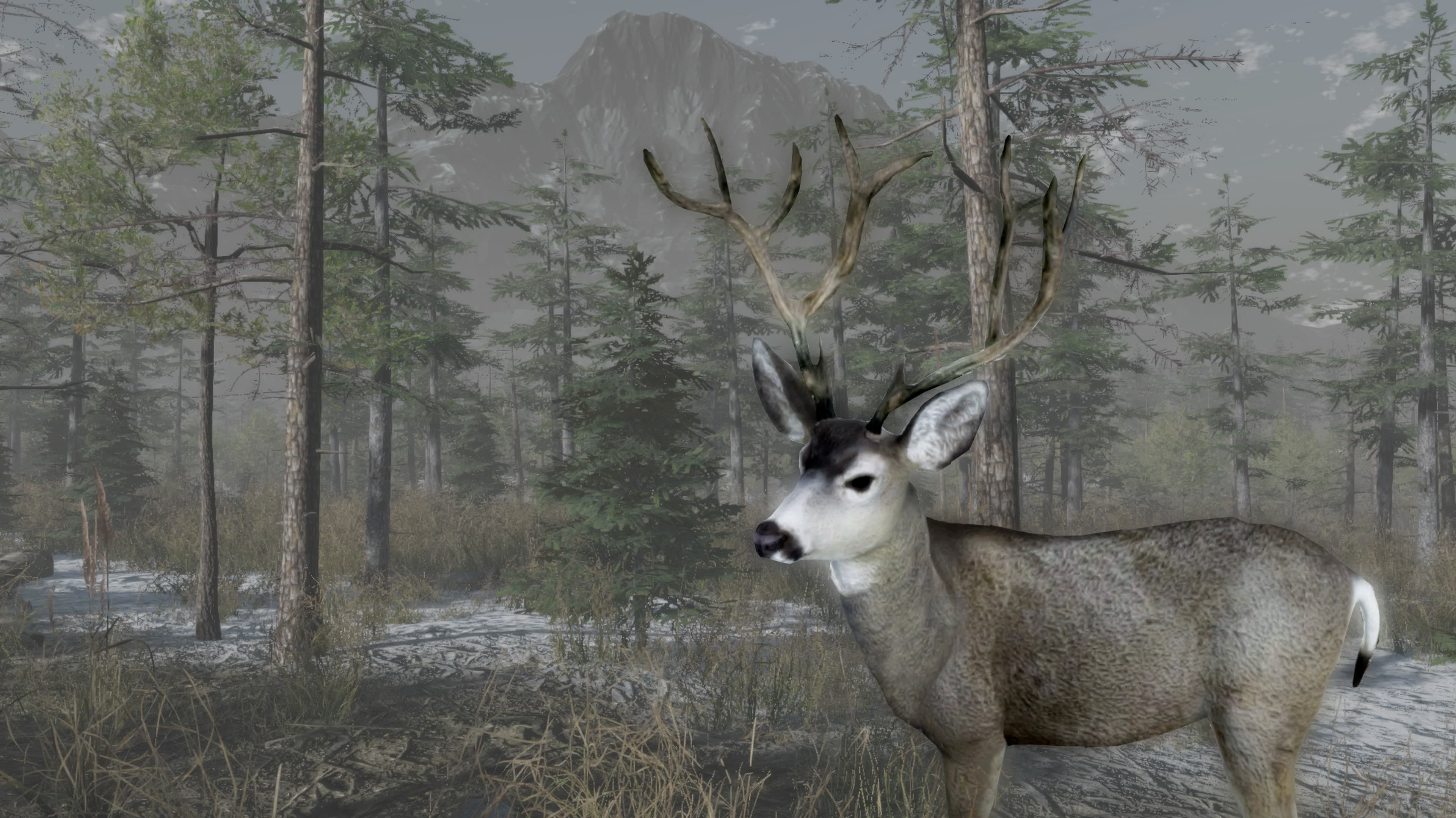 Pro Deer Hunting Out West Standard