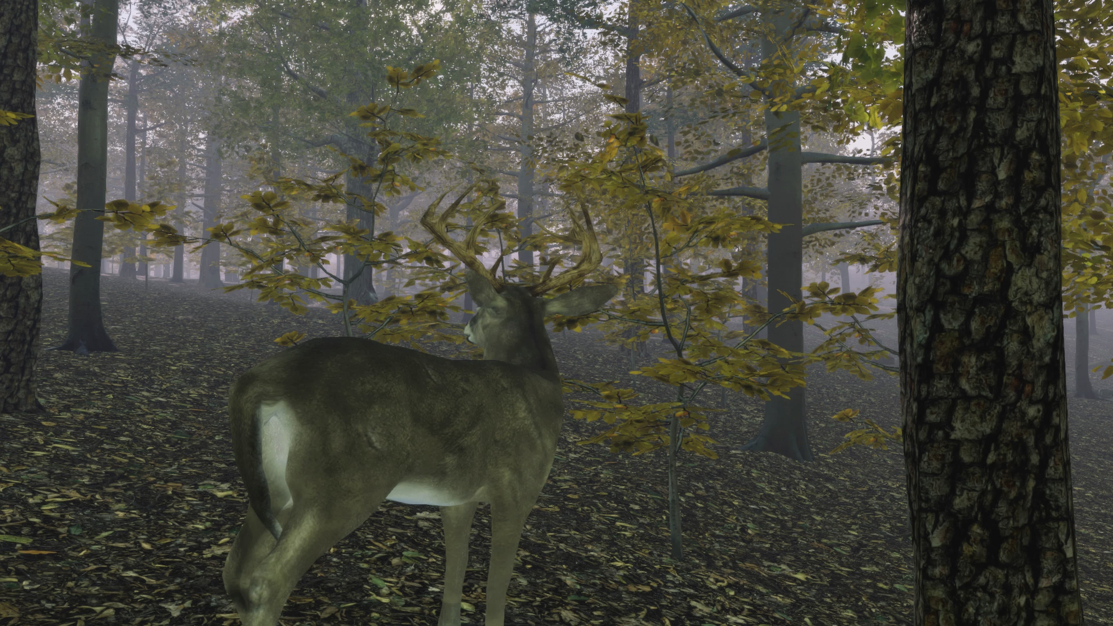 Pro Deer Hunting Out West: скриншот 7