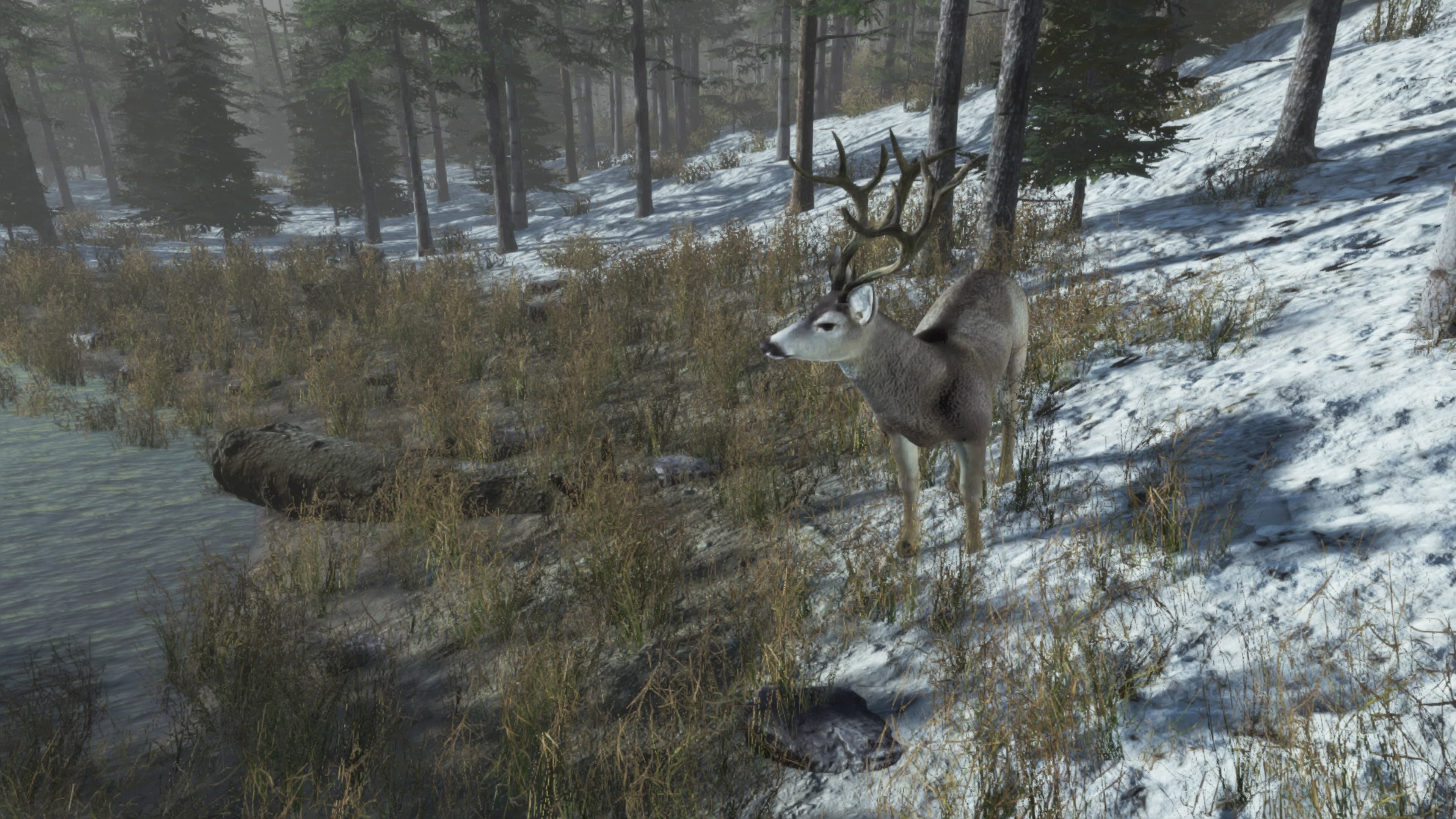 Pro Deer Hunting Out West: скриншот 6