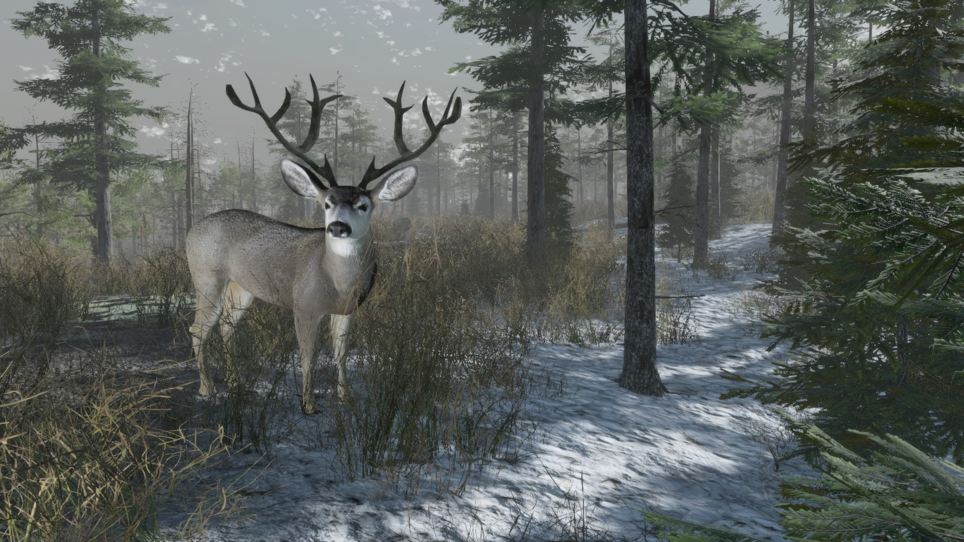 Pro Deer Hunting Out West: скриншот 3