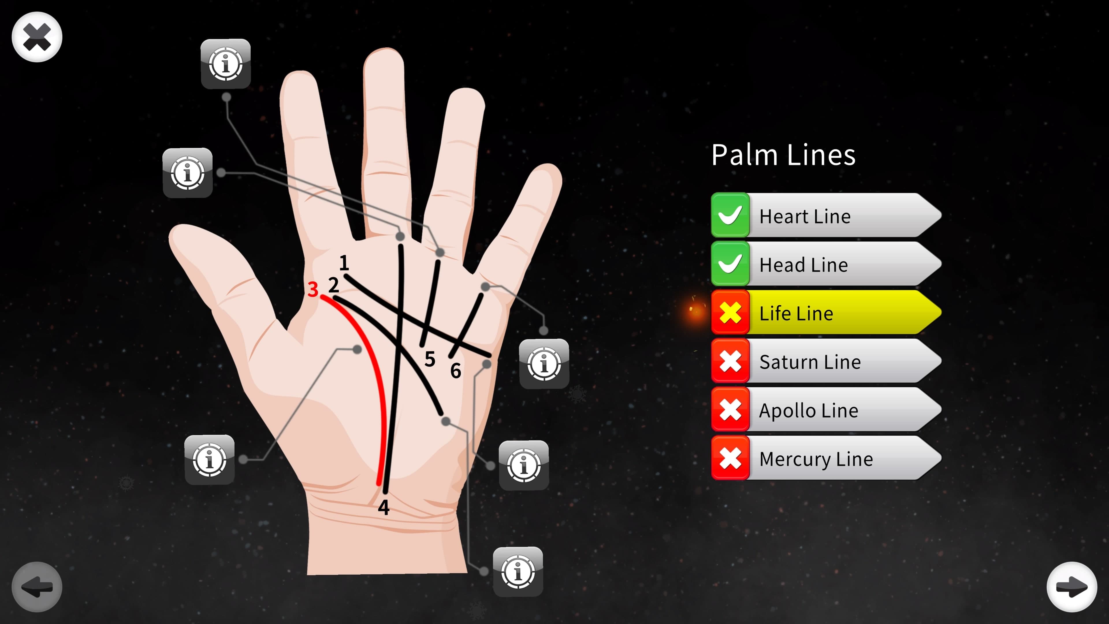 Palm Reading Premium: скриншот 1