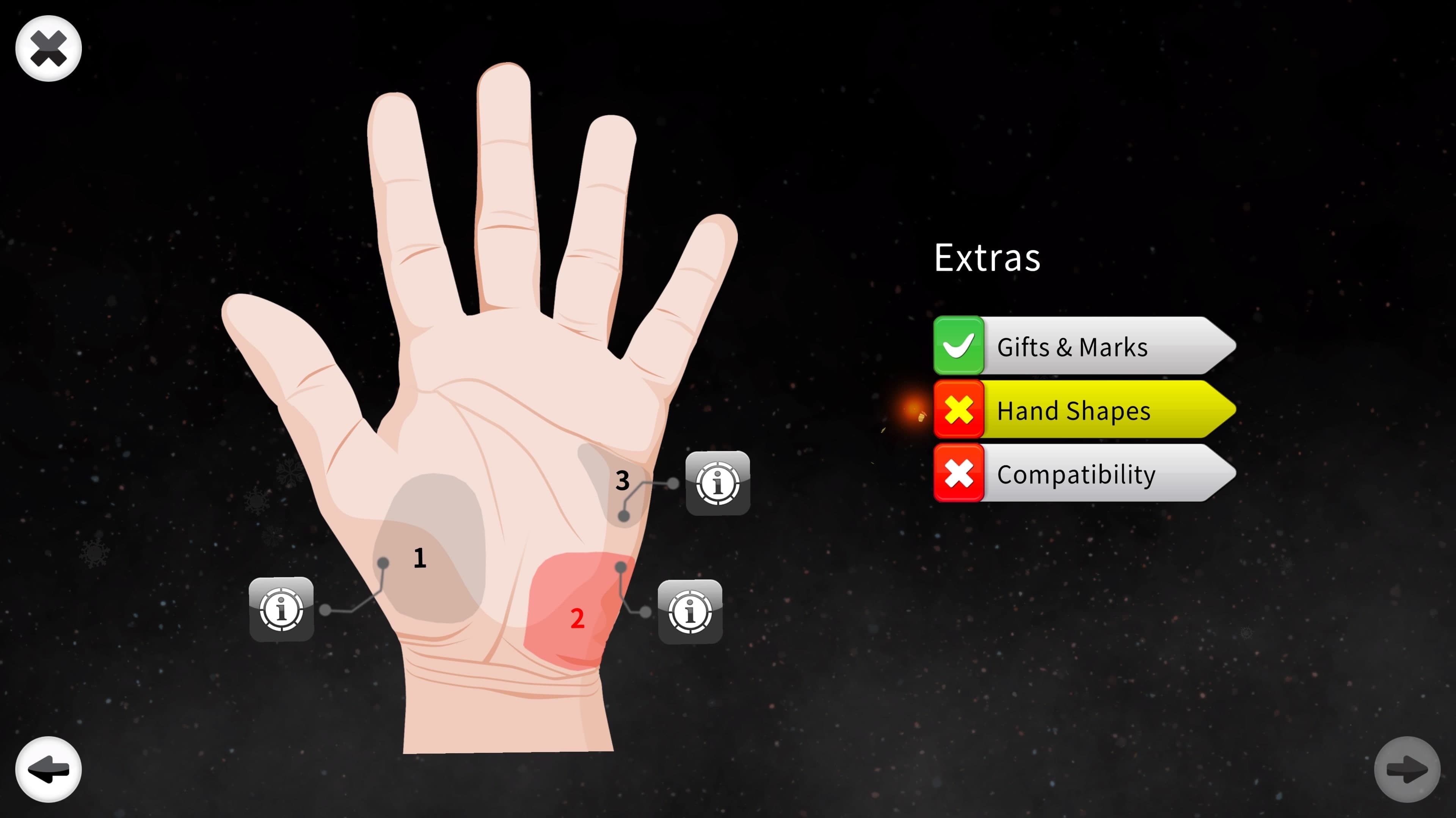 Palm Reading Premium: скриншот 9