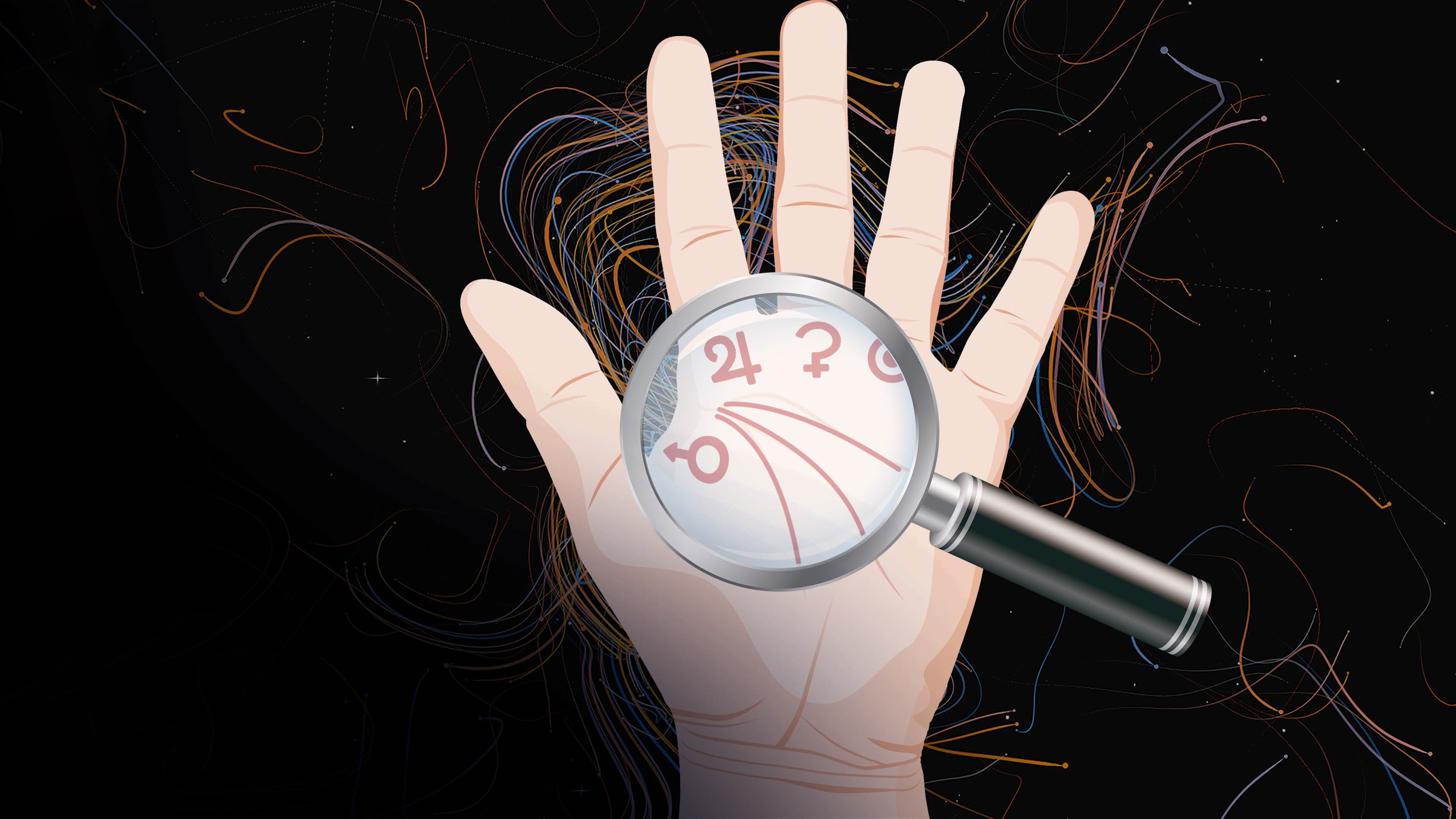 Palm Reading Standard