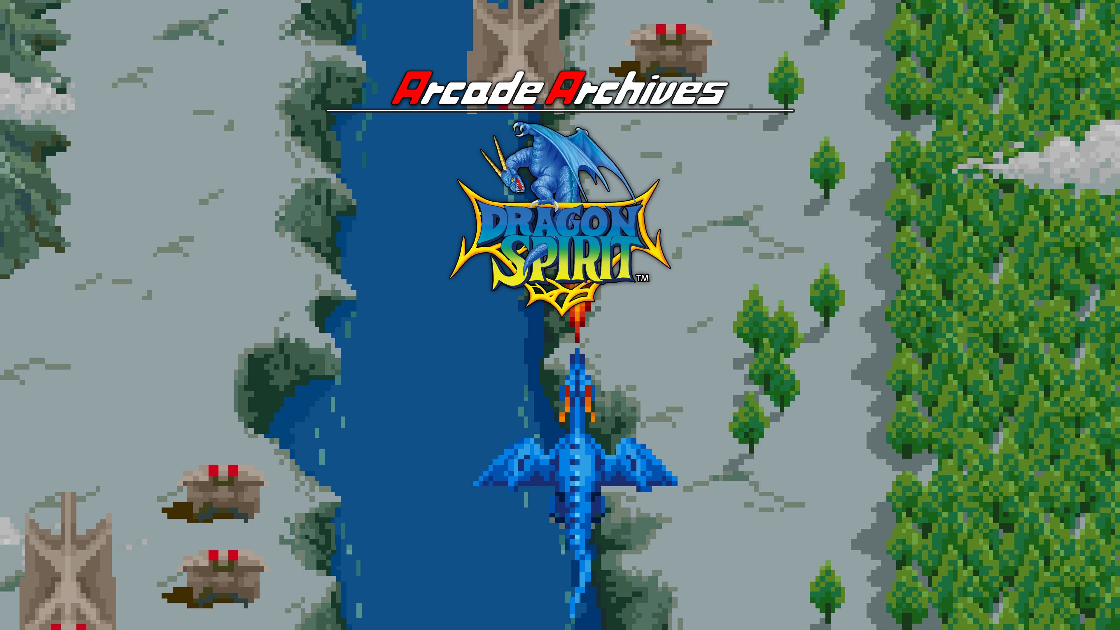 Arcade Archives DRAGON SPIRIT Standard