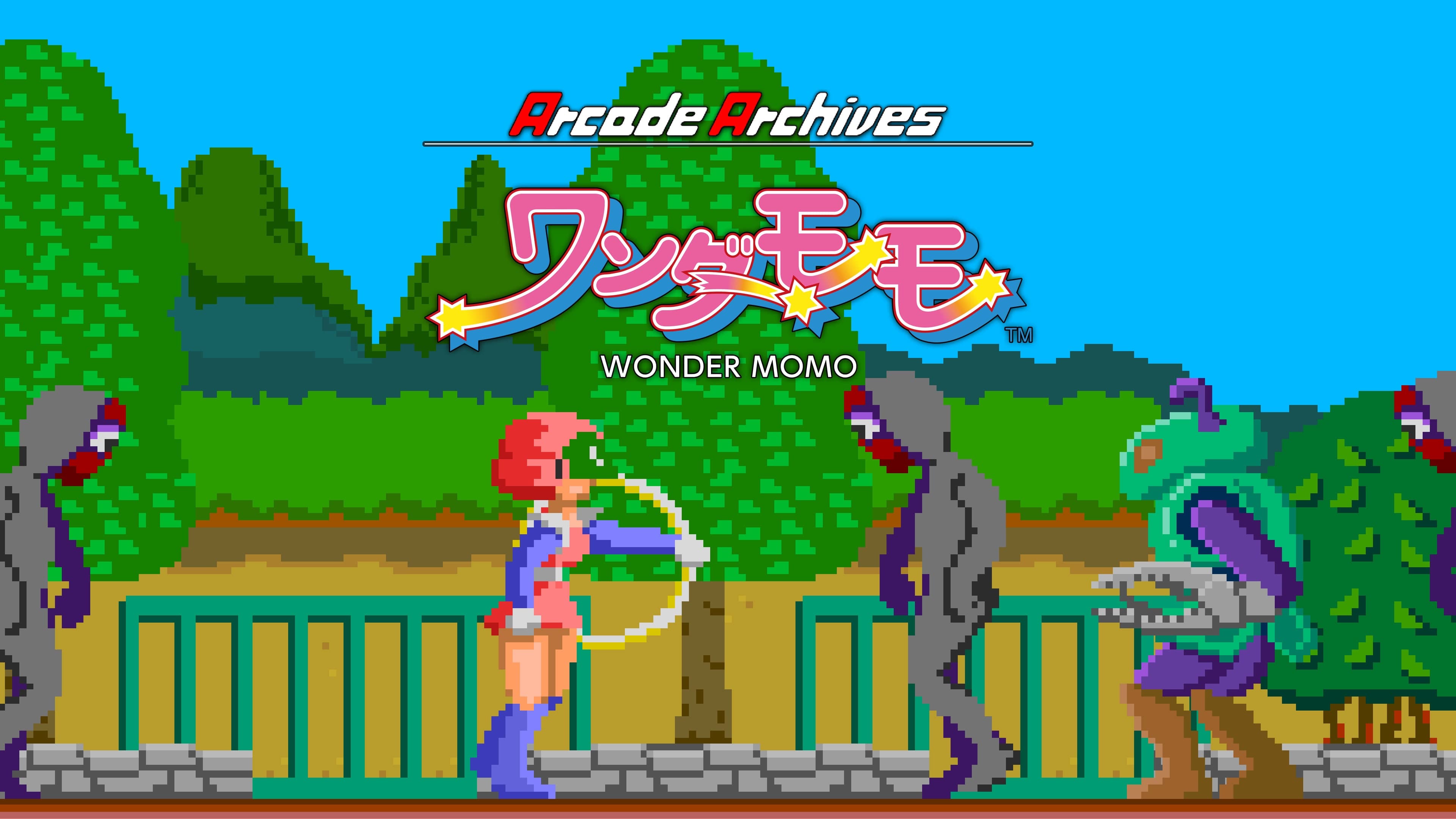 Arcade Archives WONDER MOMO Standard