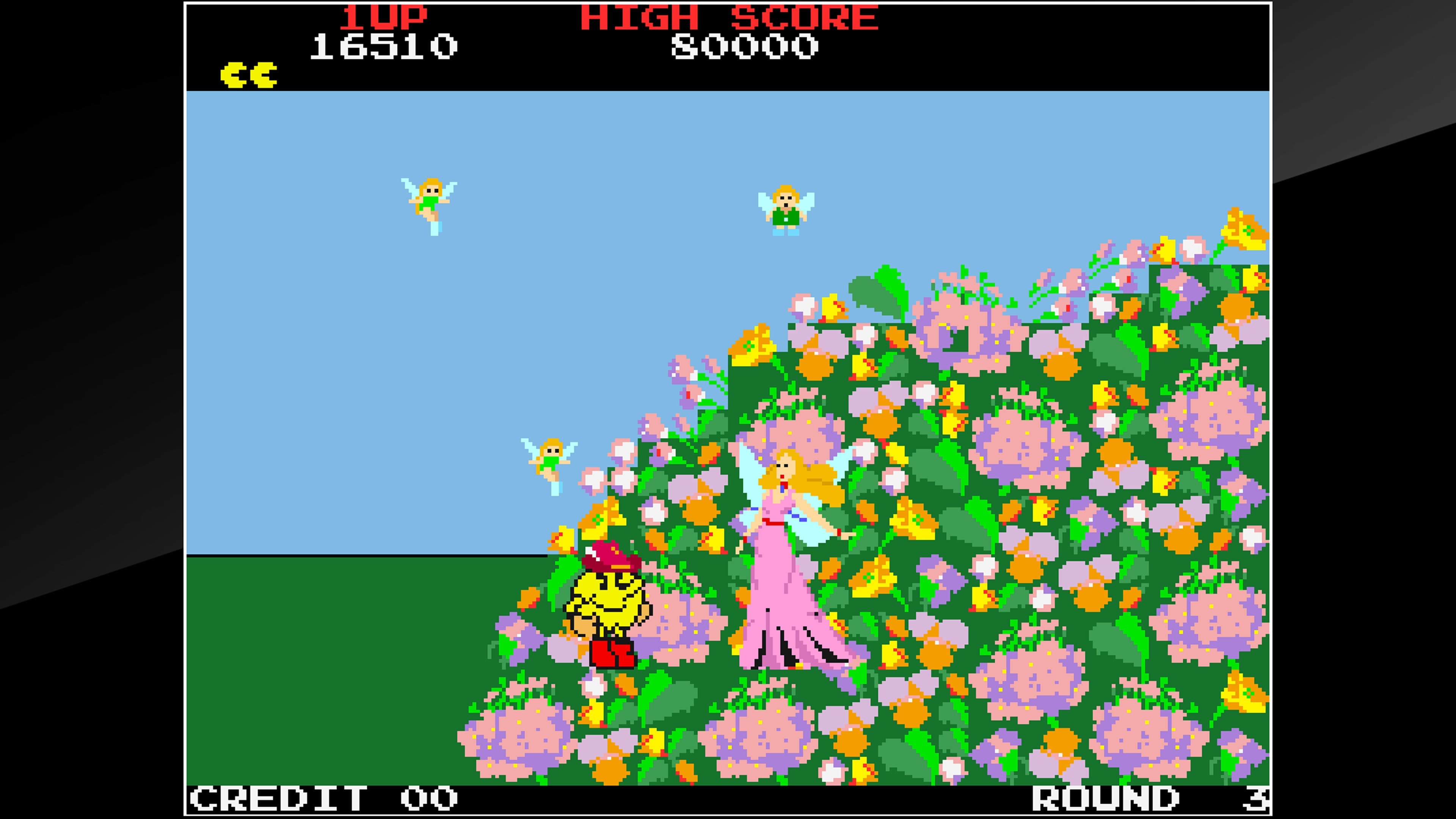 Arcade Archives PAC - LAND: скриншот 8