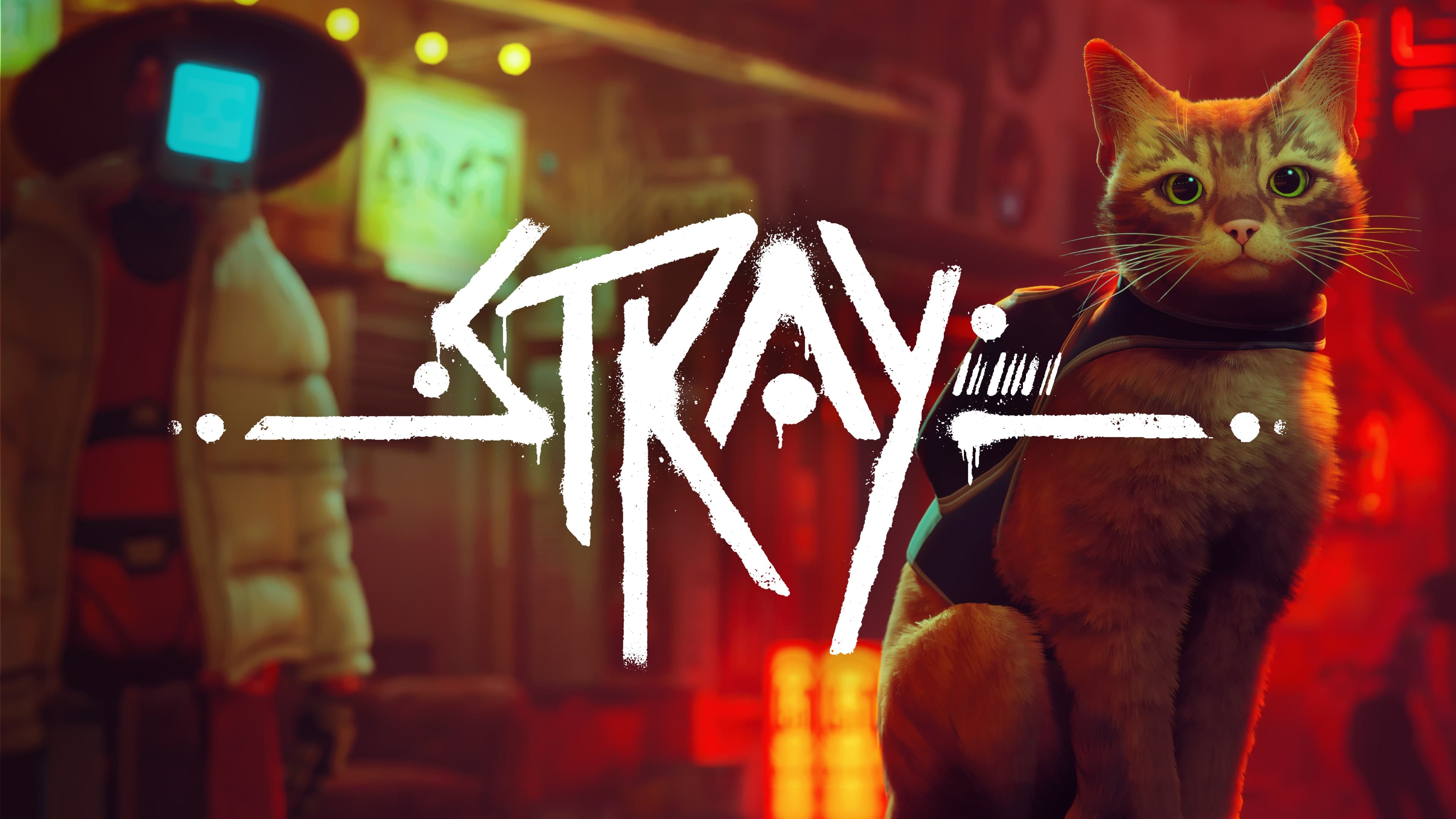 Stray Standard