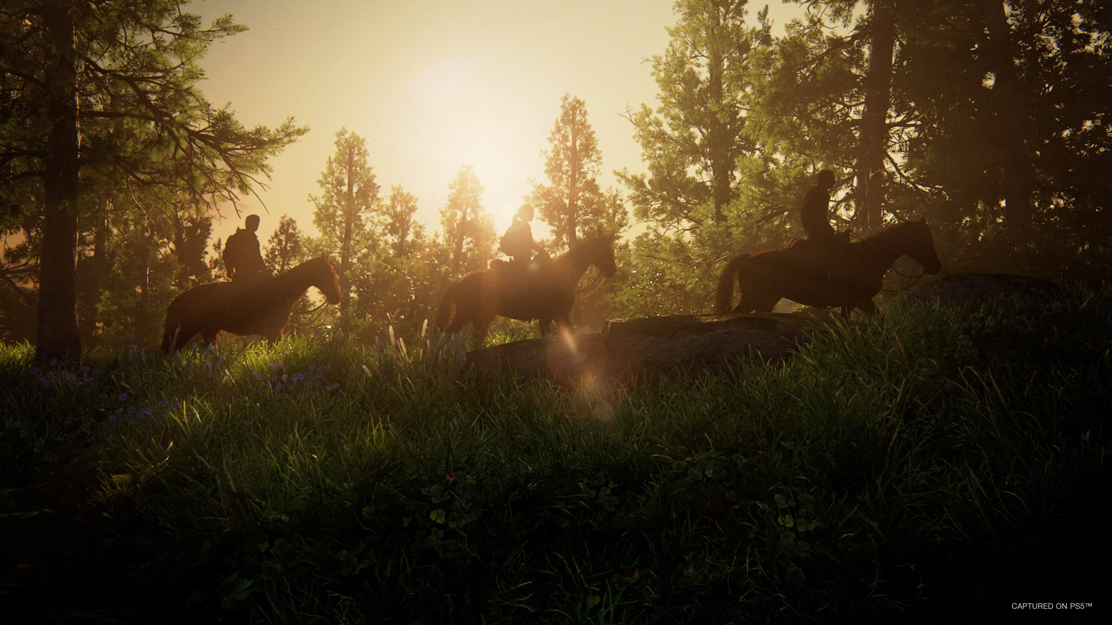 The Last of Us Part I: скриншот 9