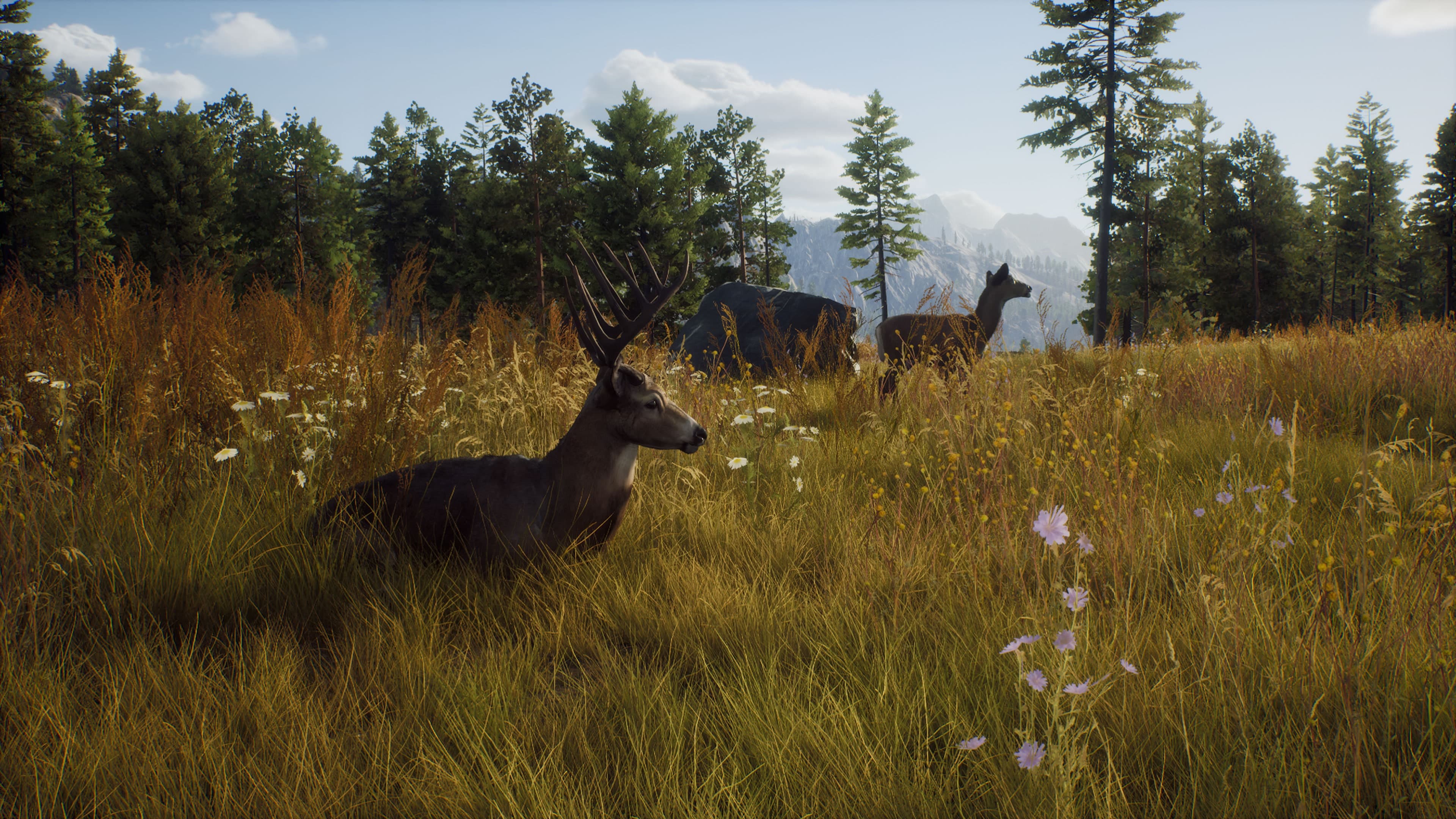 Way of the Hunter - Hunter's Pack: скриншот 1