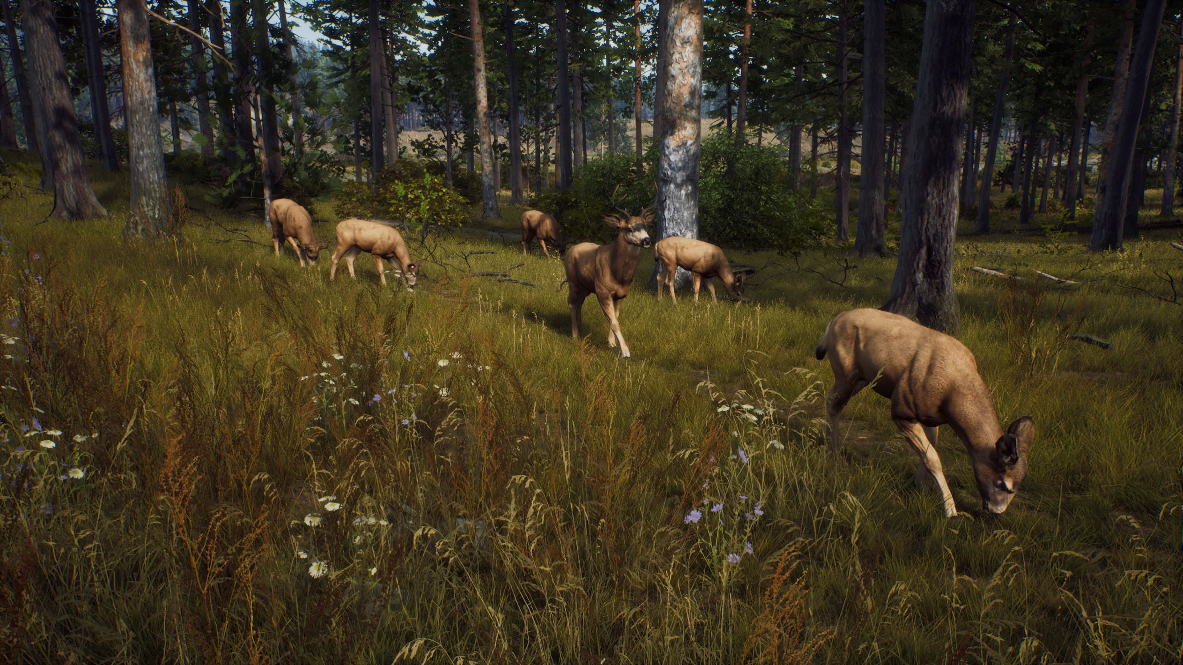 Way of the Hunter - Hunter's Pack: скриншот 3