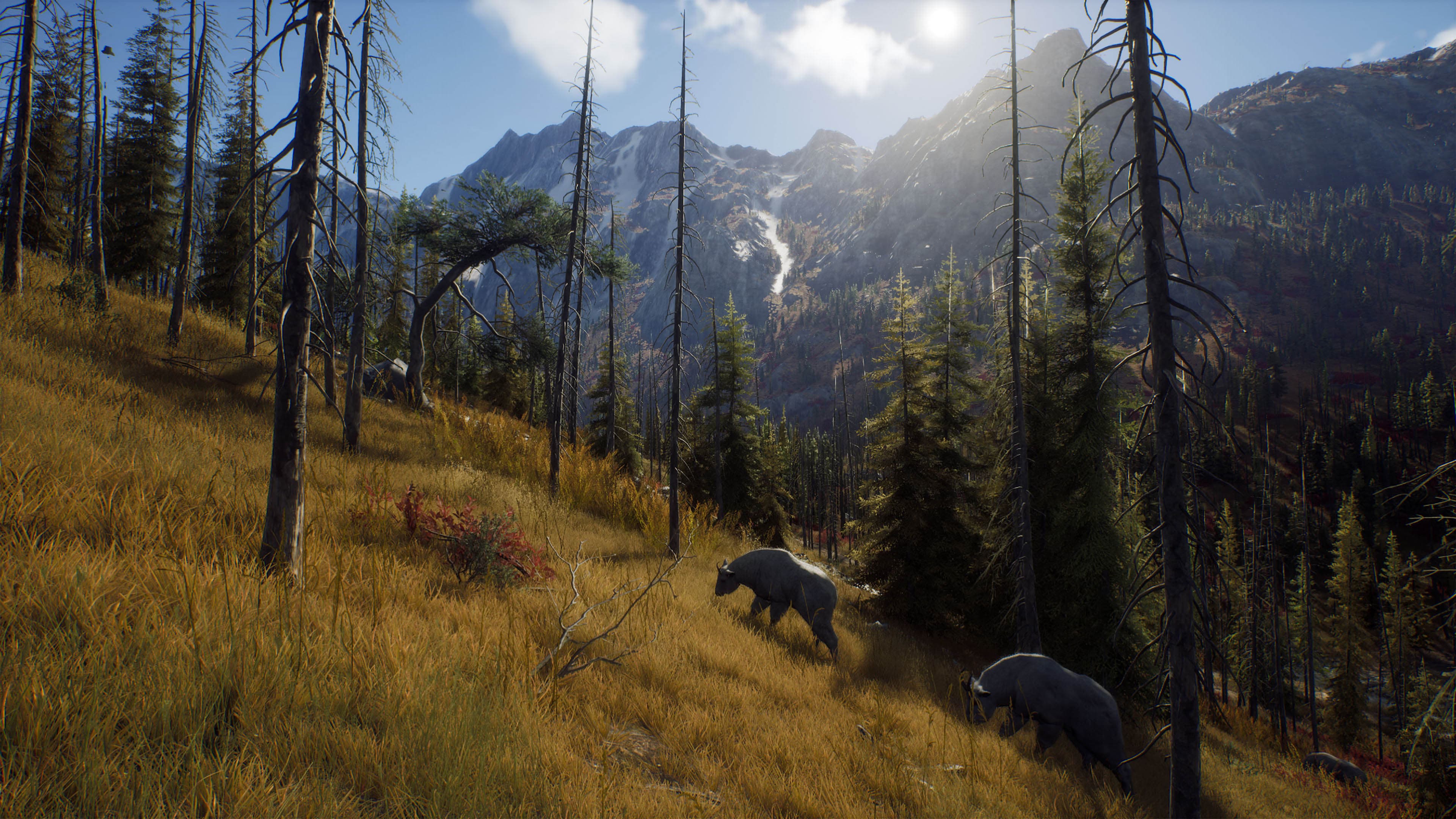 Way of the Hunter - Hunter's Pack: скриншот 2