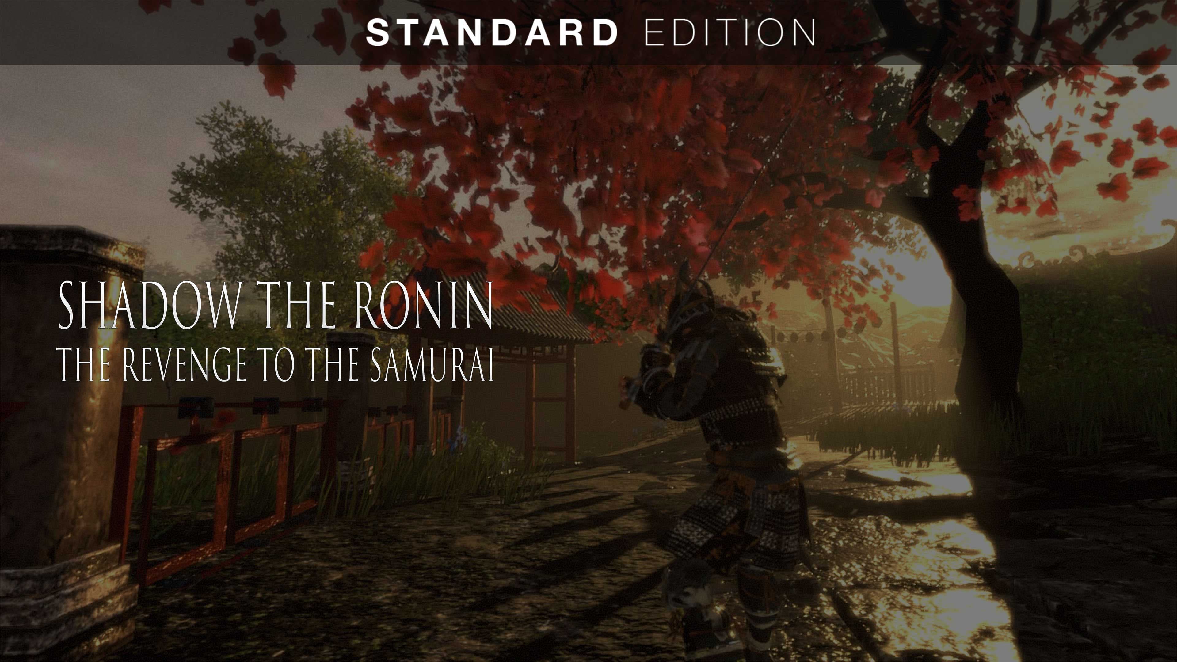 Shadow the Ronin: The Revenge to the Samurai Standard