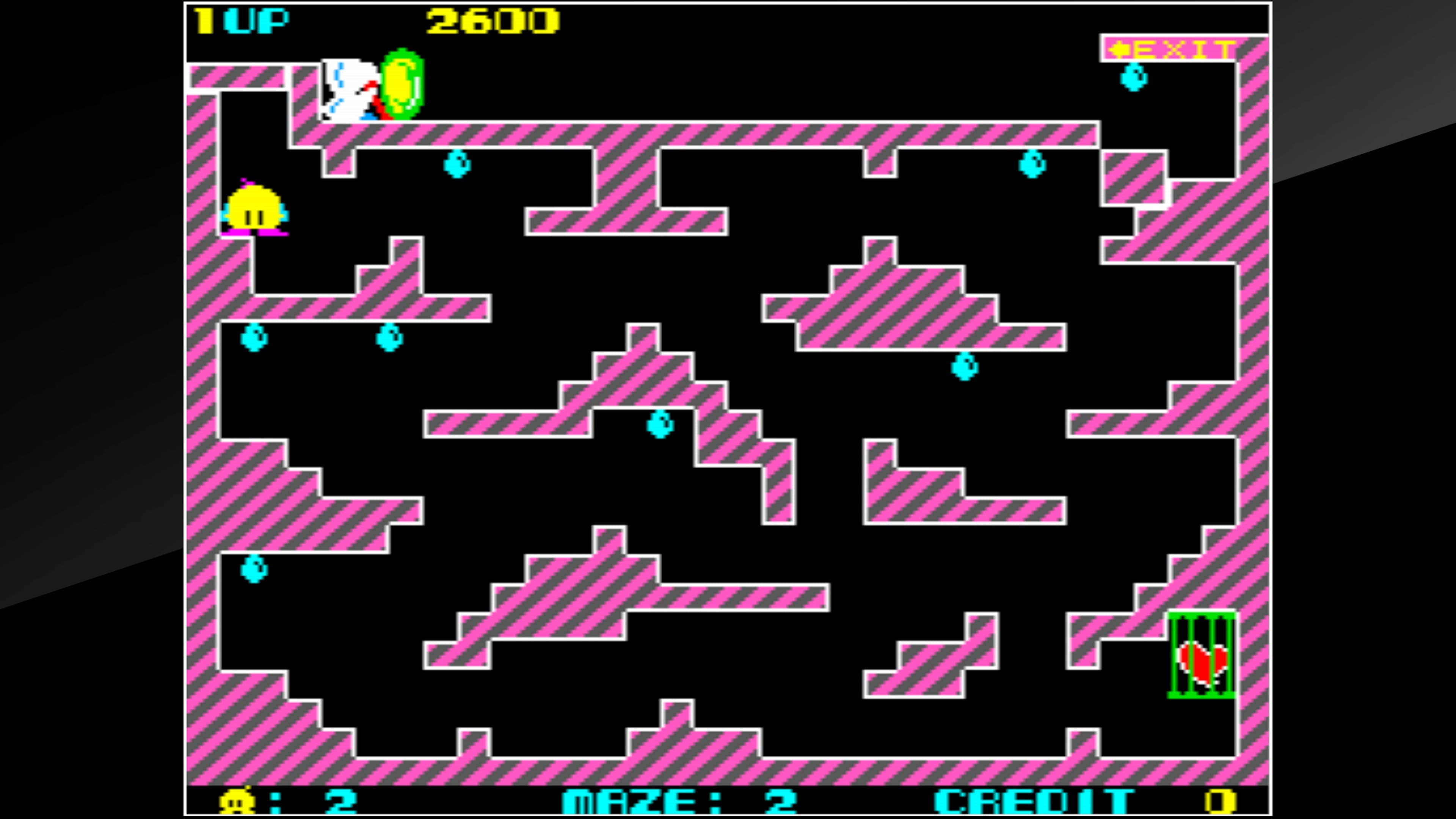 Arcade Archives Chack'n Pop: скриншот 9