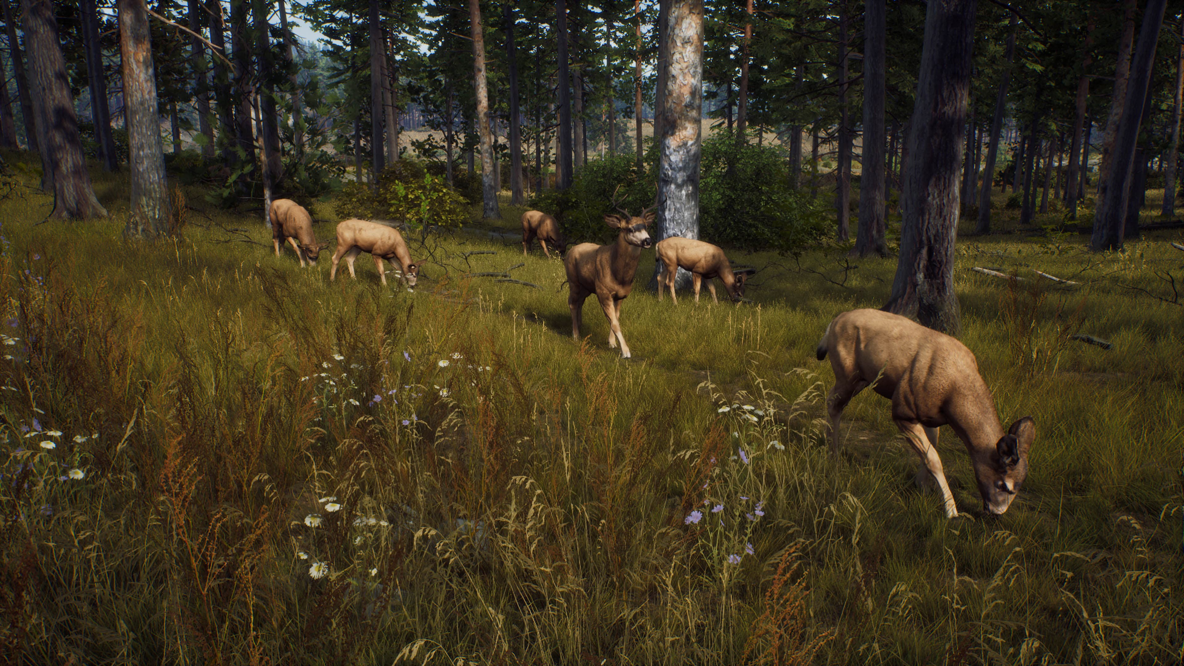 Way of the Hunter: Elite Edition: скриншот 7