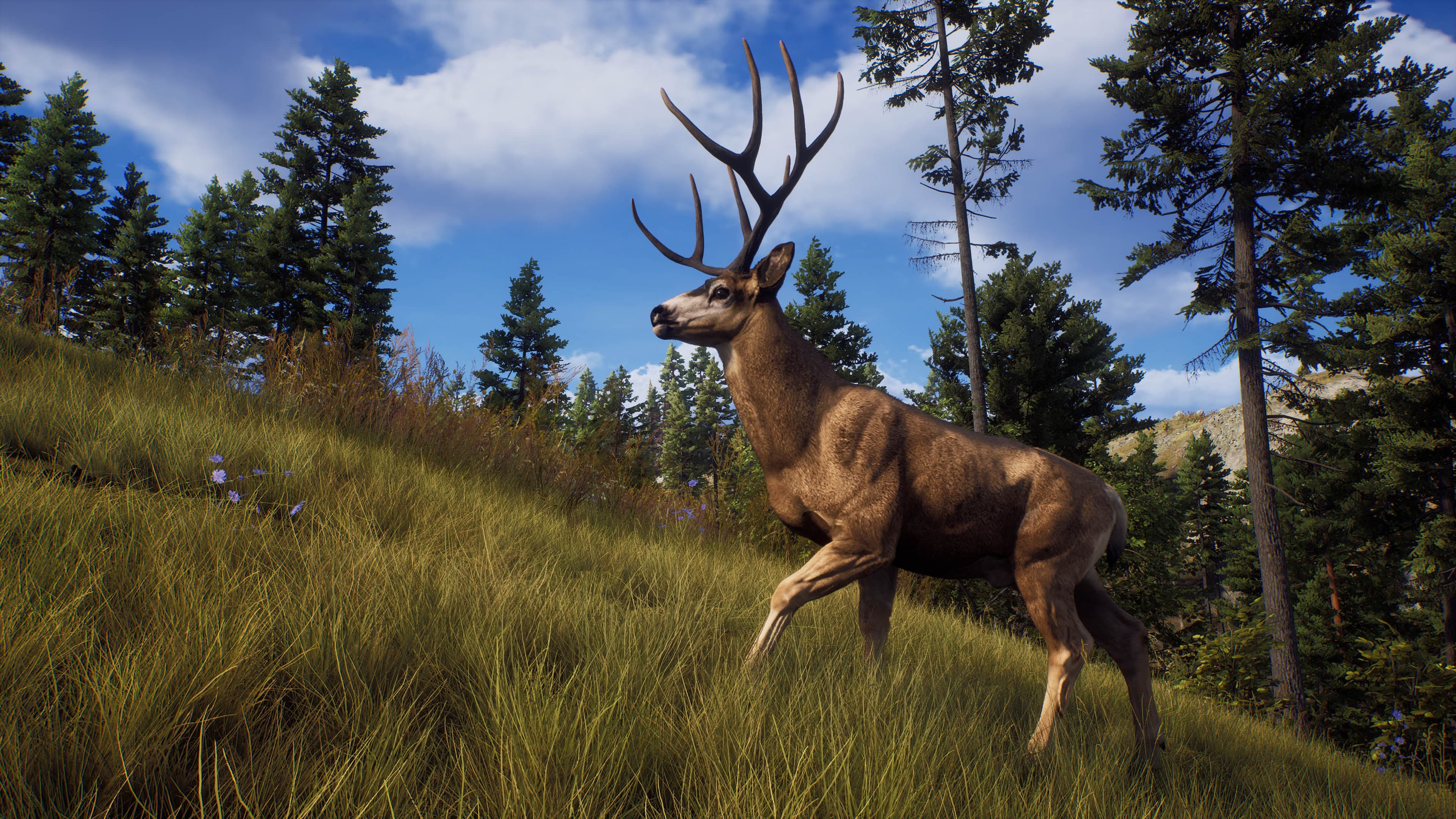 Way of the Hunter: Elite Edition: скриншот 5