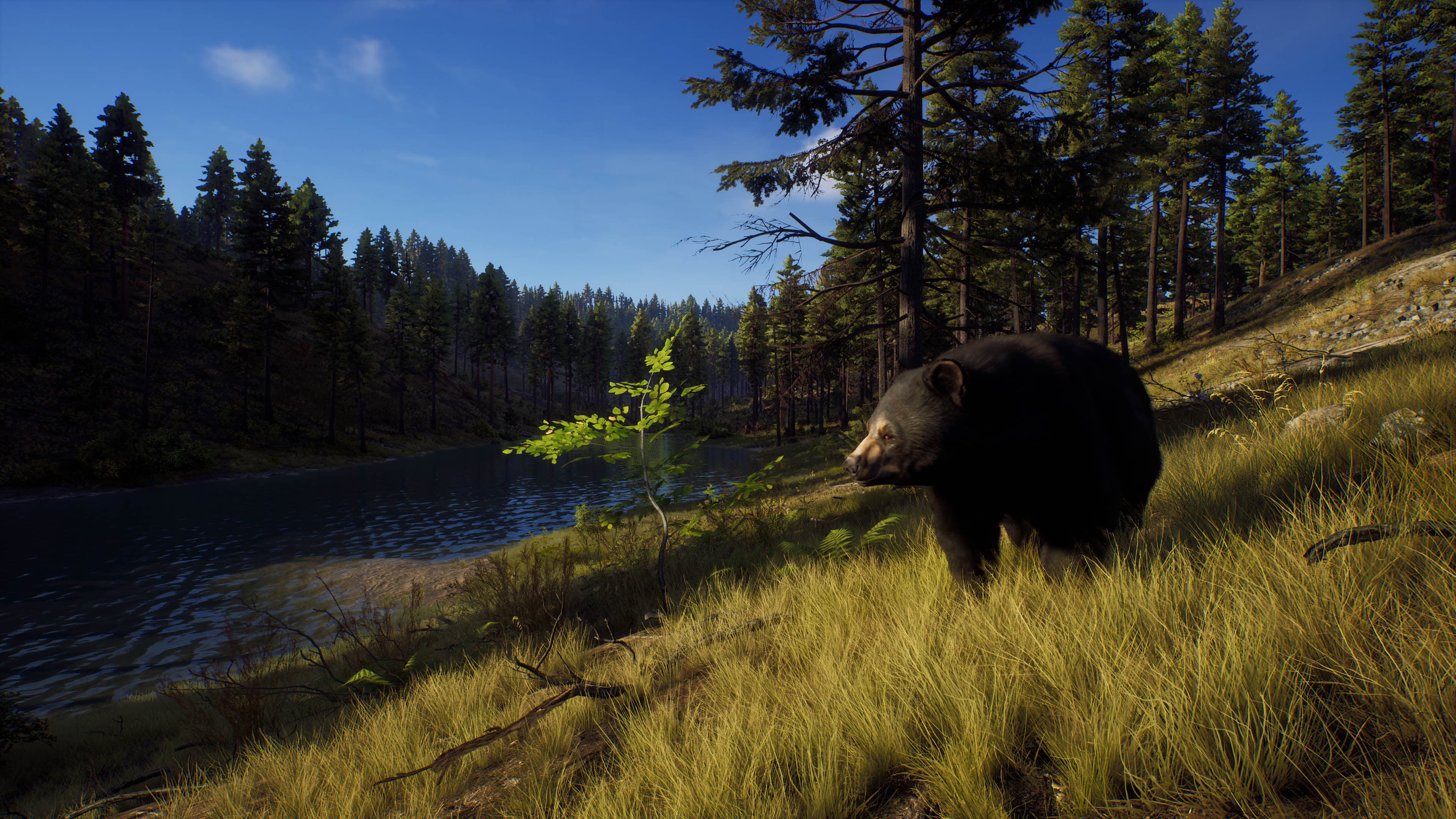 Way of the Hunter: Elite Edition: скриншот 4