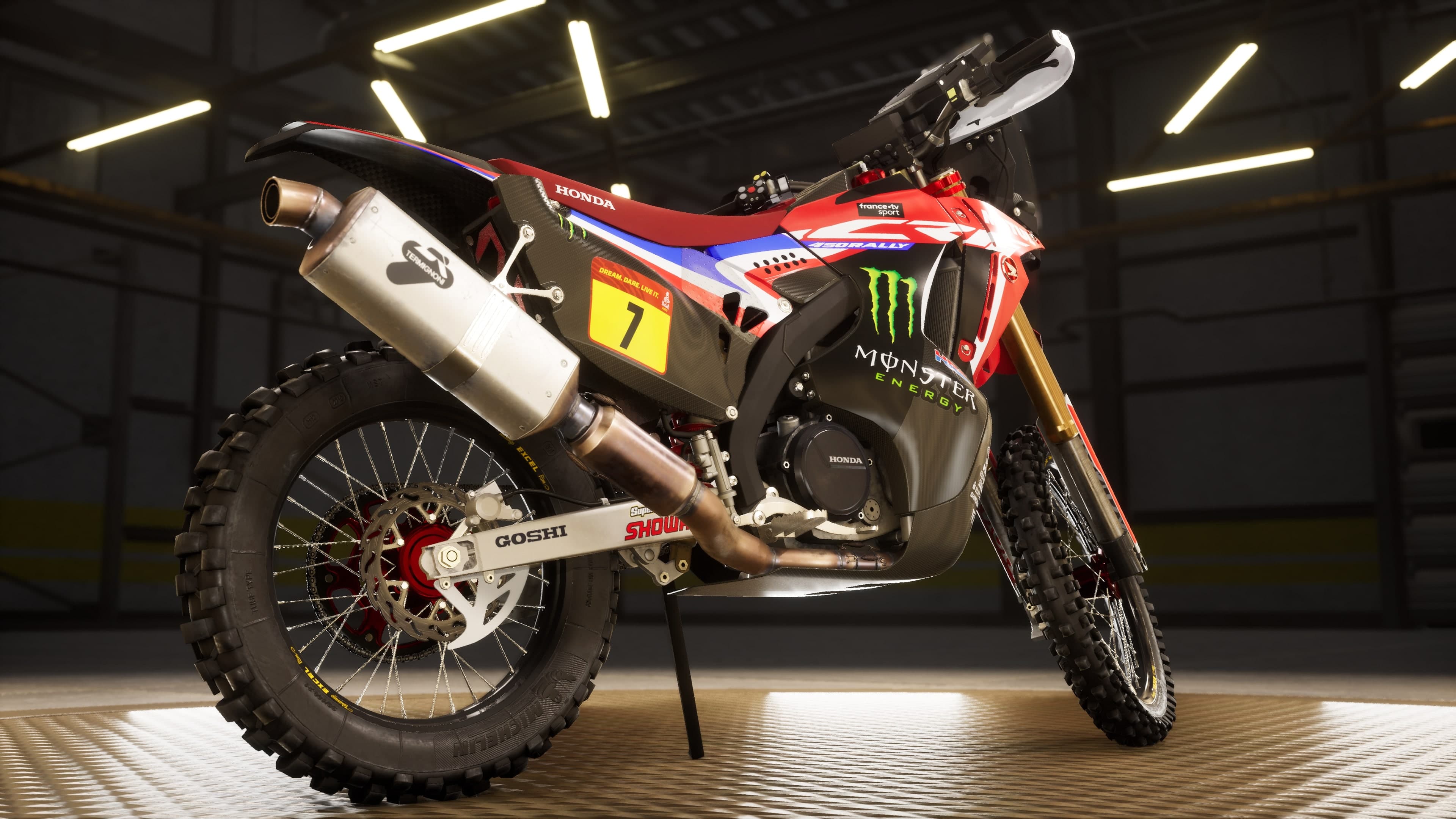 Dakar Desert Rally: скриншот 7